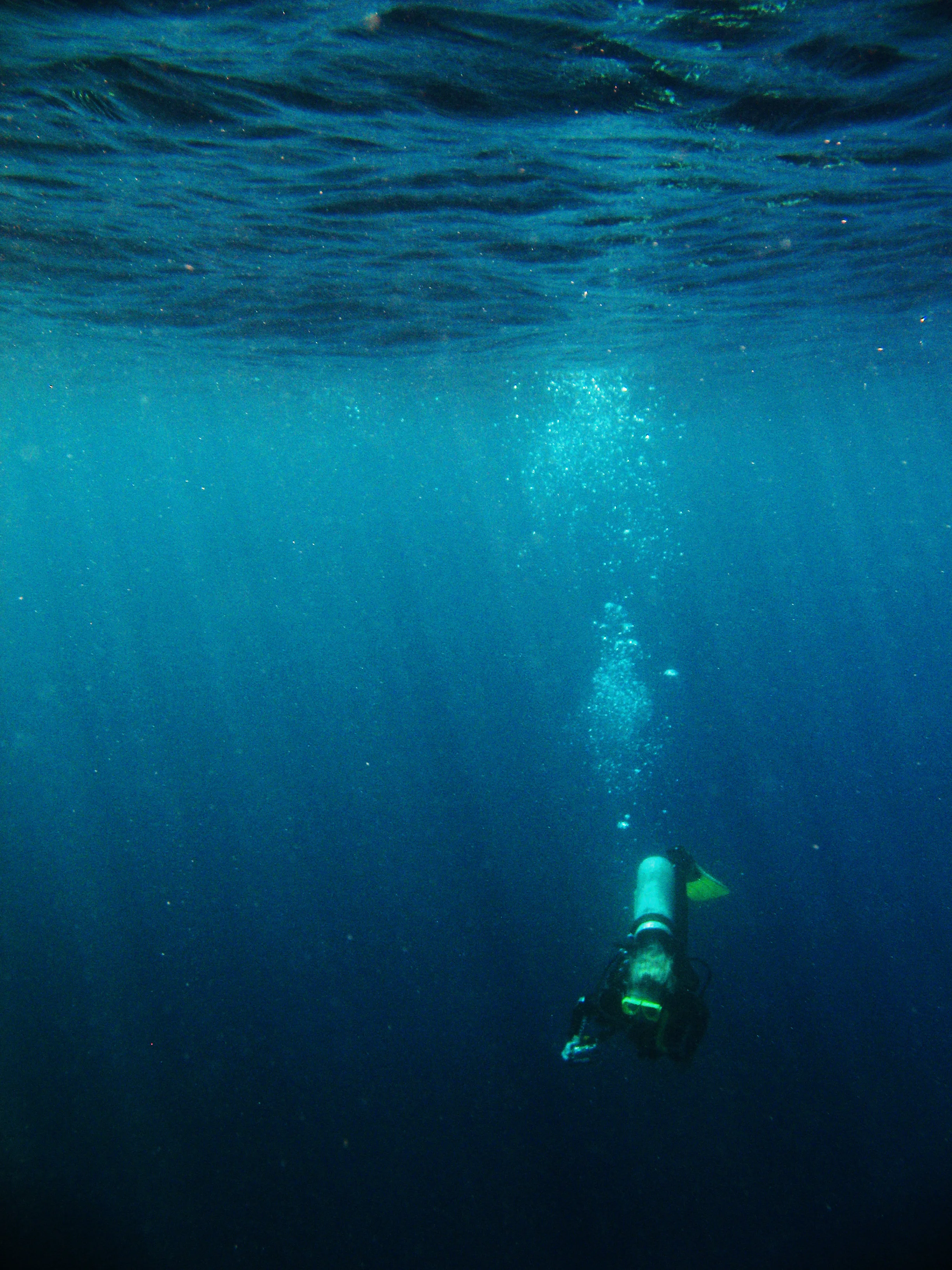 The Blue
