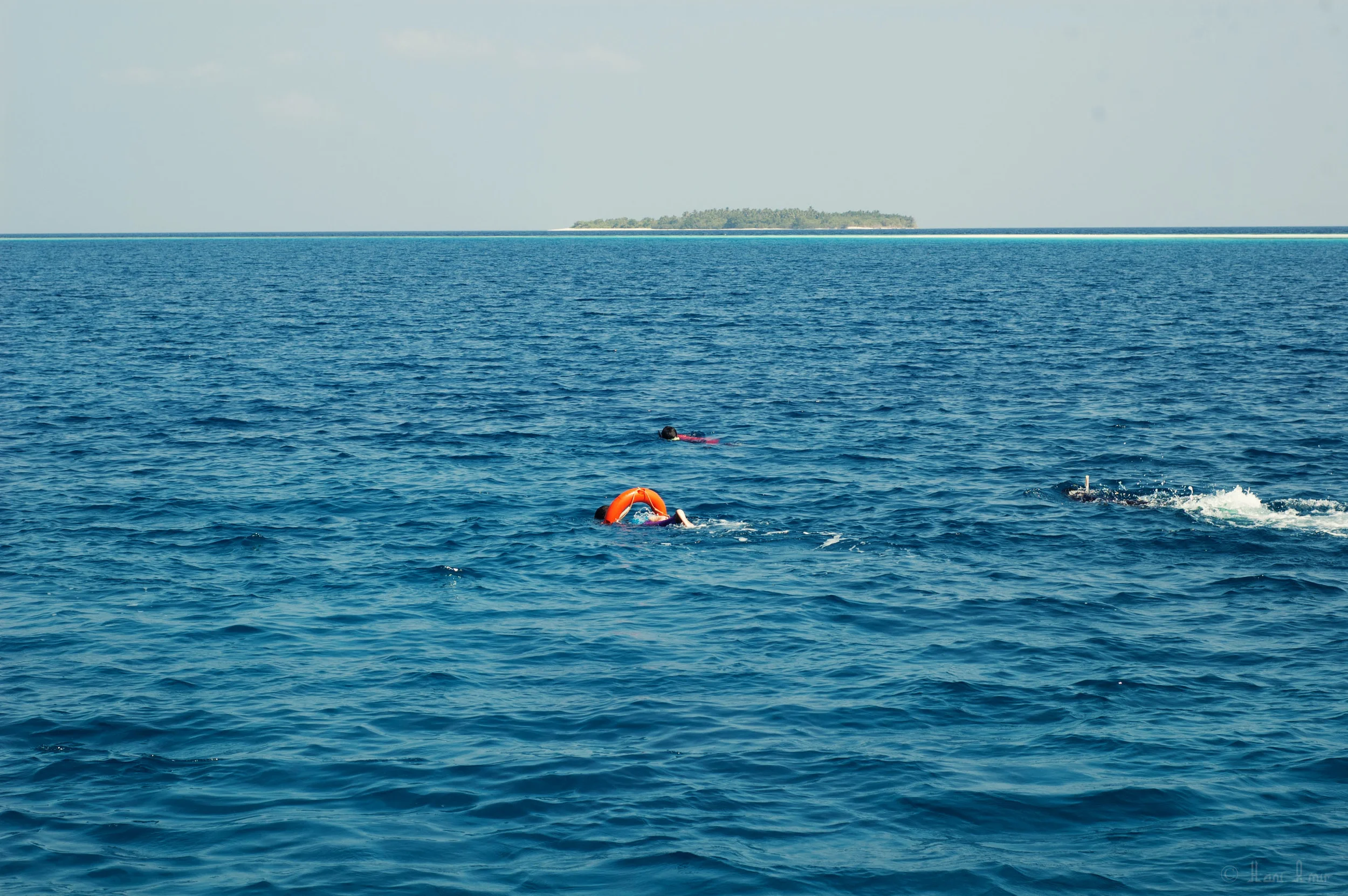 The men make a team and spread out to search a wider area for bait fish