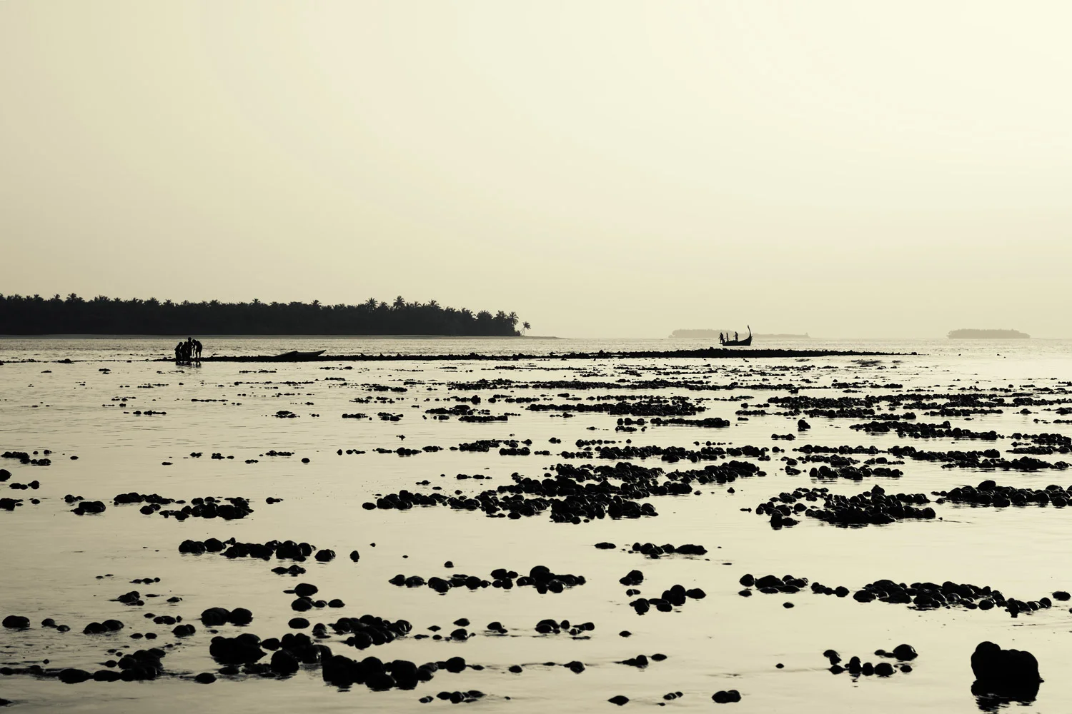 Black Flags on the Horizon
