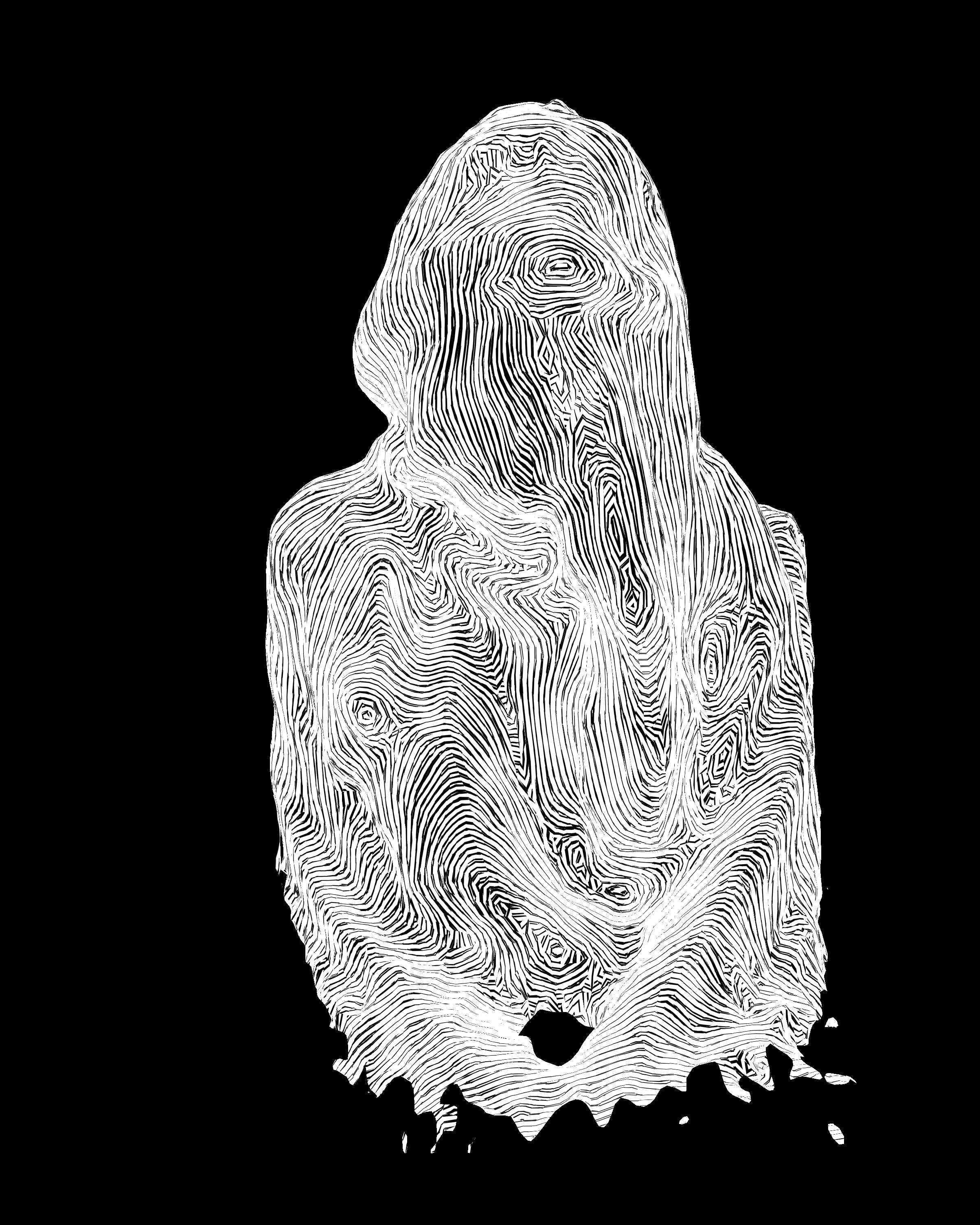 Captive Identity Kinect v.1 + Skanect+ Meshlab + Photoshop CC. (2015)