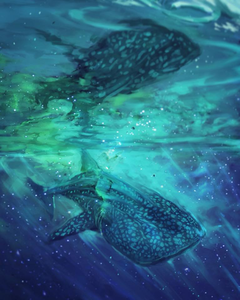 Whale Shark Galaxy Digital