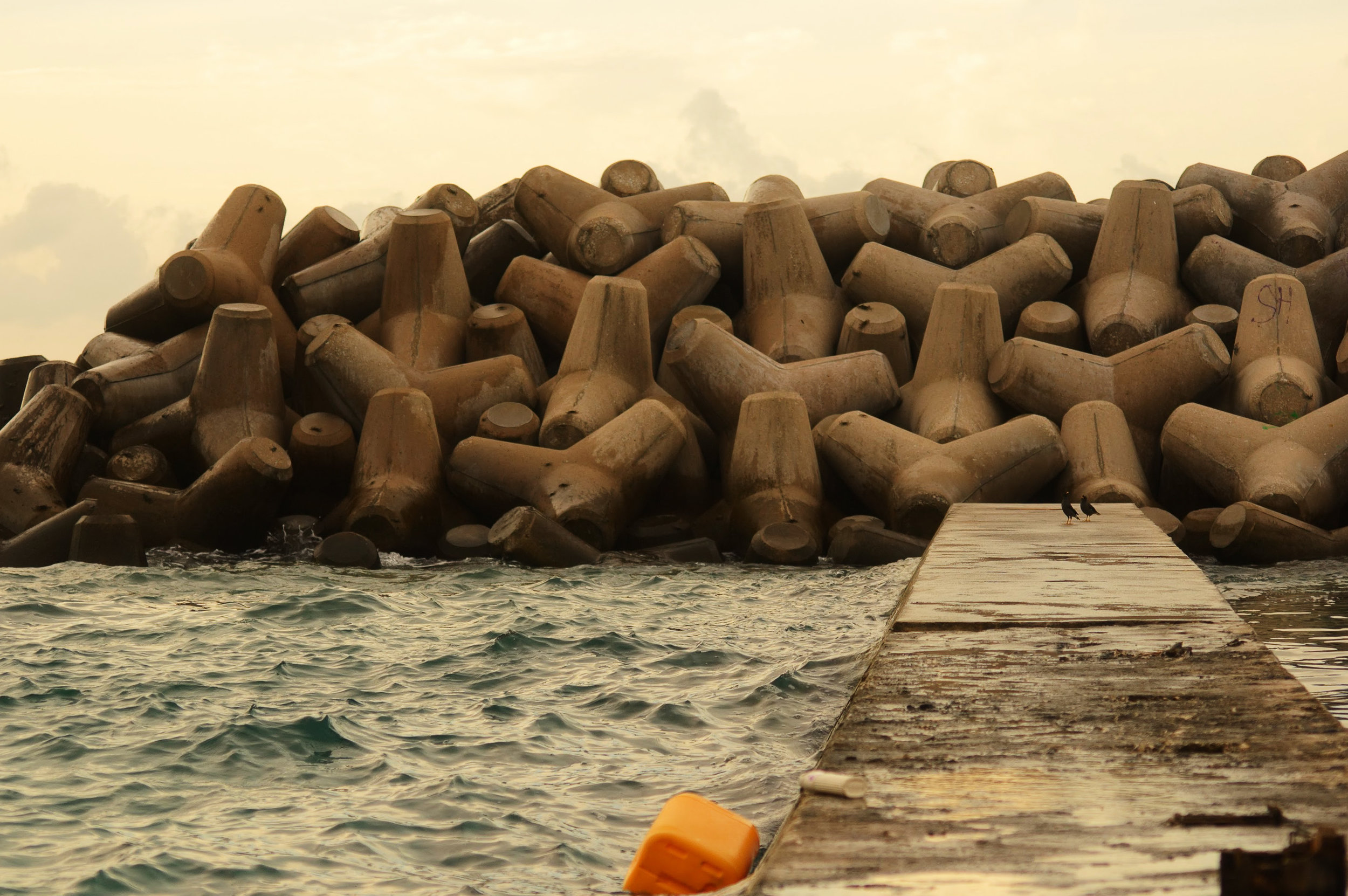 The barrier which now separates the track from the rest of the harbour. Nikon D70s (2007)