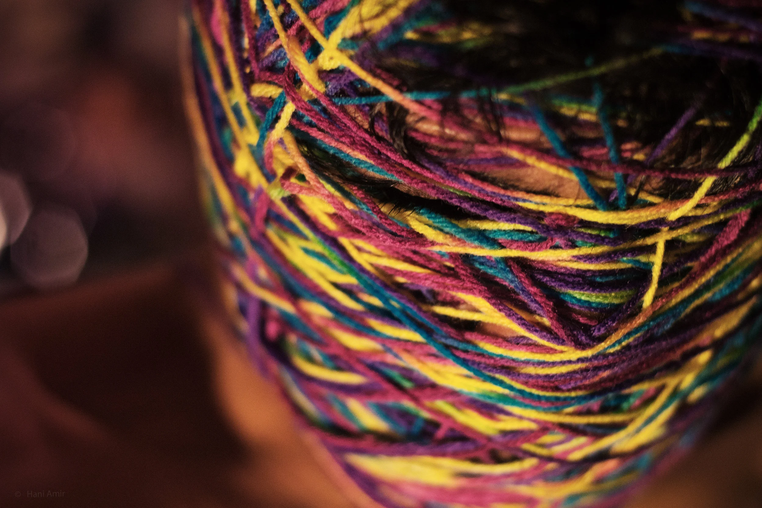 Self portrait. Nikon D3100 with Nikon 50mm f/1.8 AF-D. (2012)