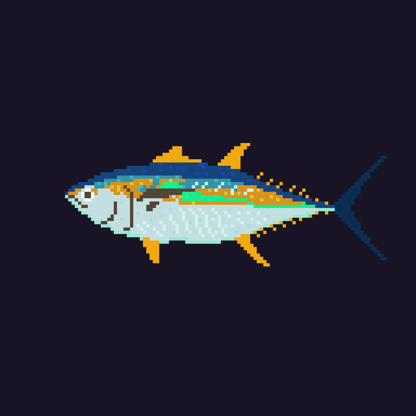 A yellowfin tuna for Haa to hunt 