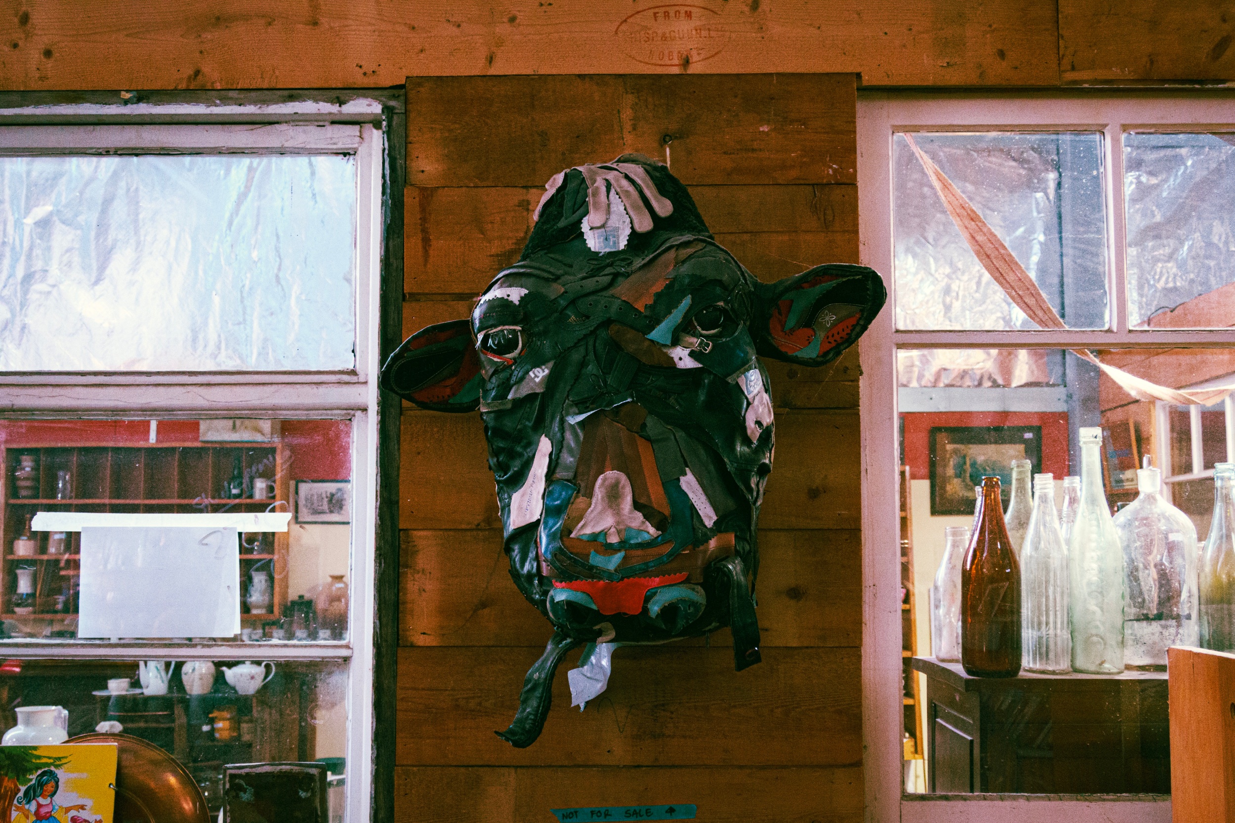 Mounted on the wall of the tip shop is the head of a sad cow made out of recycled leather. Apparently it is not for sale. | G9X II