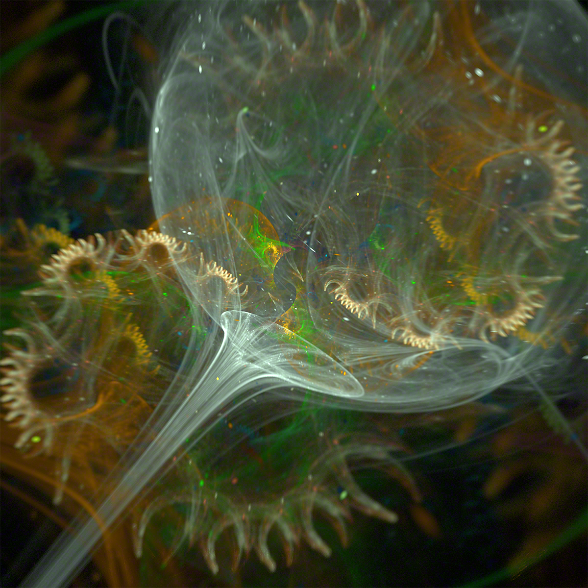 Blown Glass