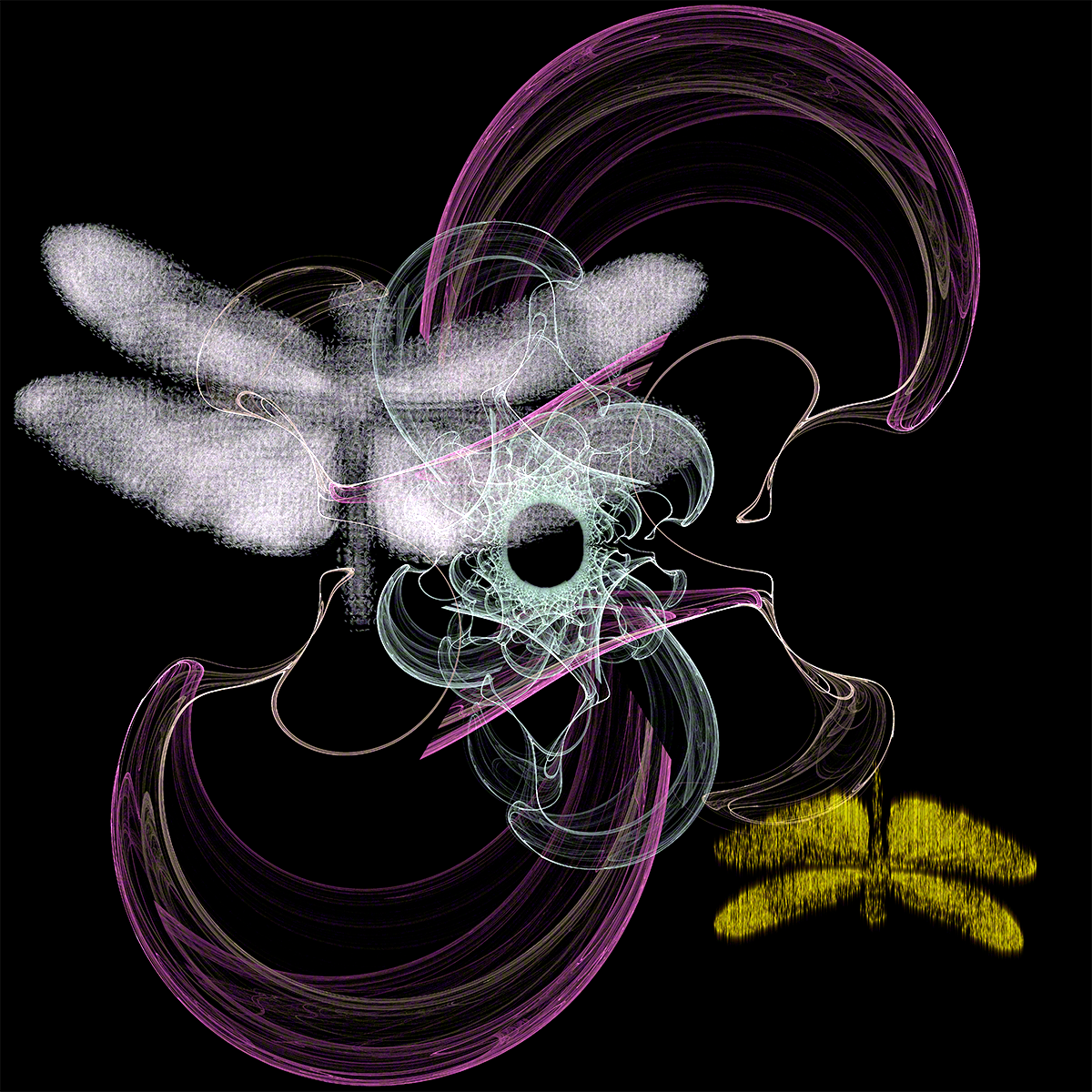 Butterflies with Bullet-hole