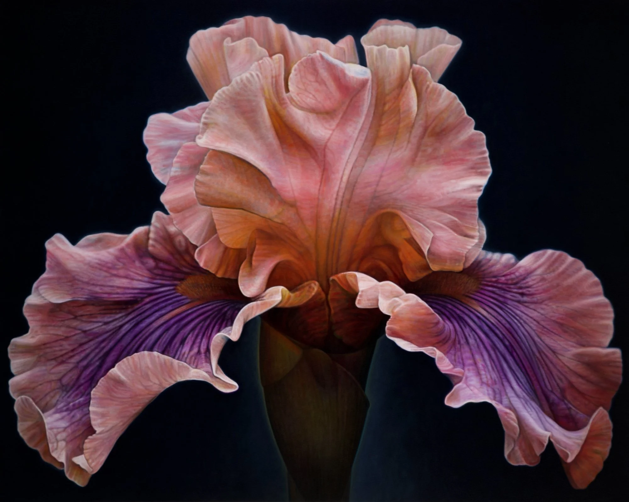 Flower Series #27
