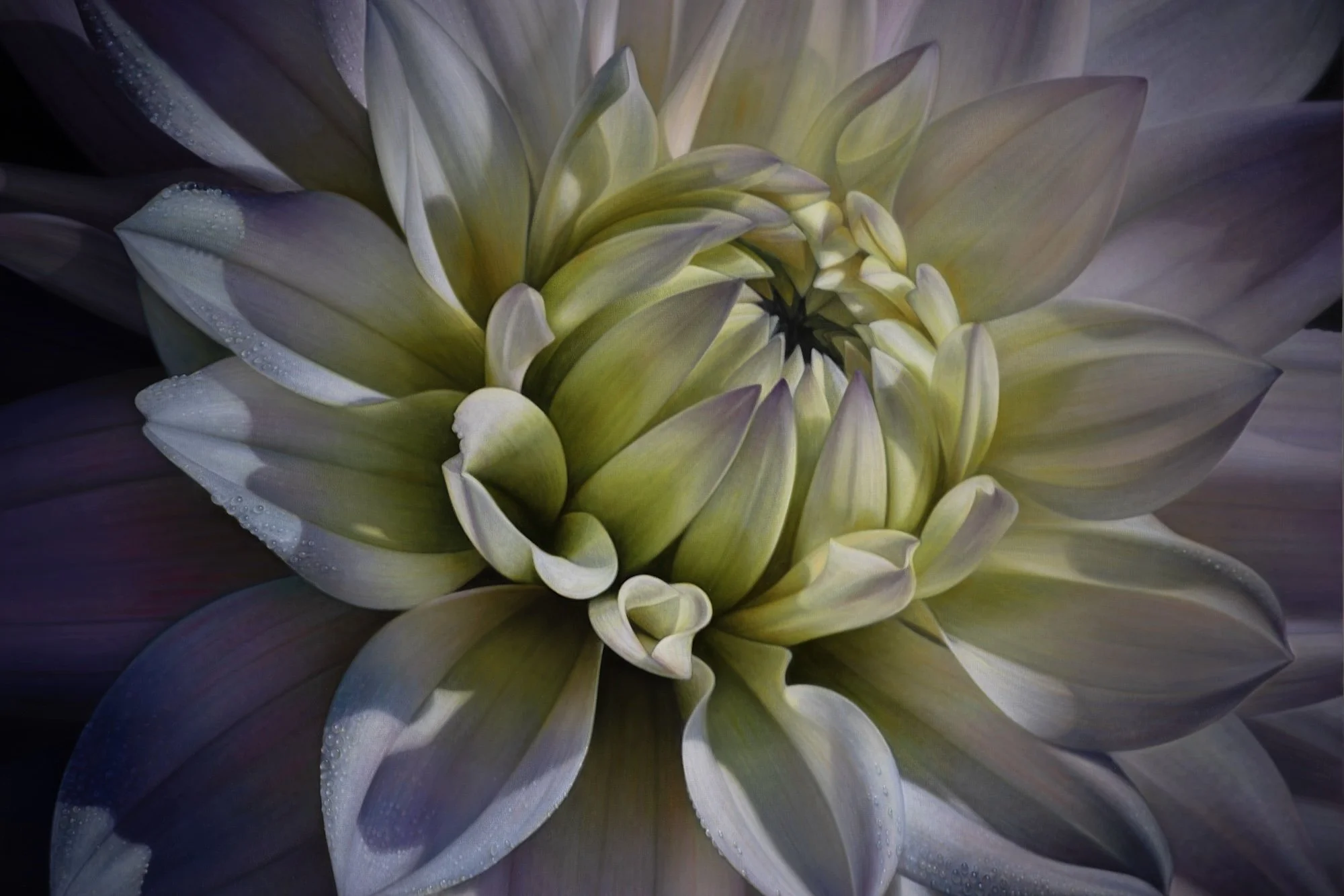 Dahlia Series #21