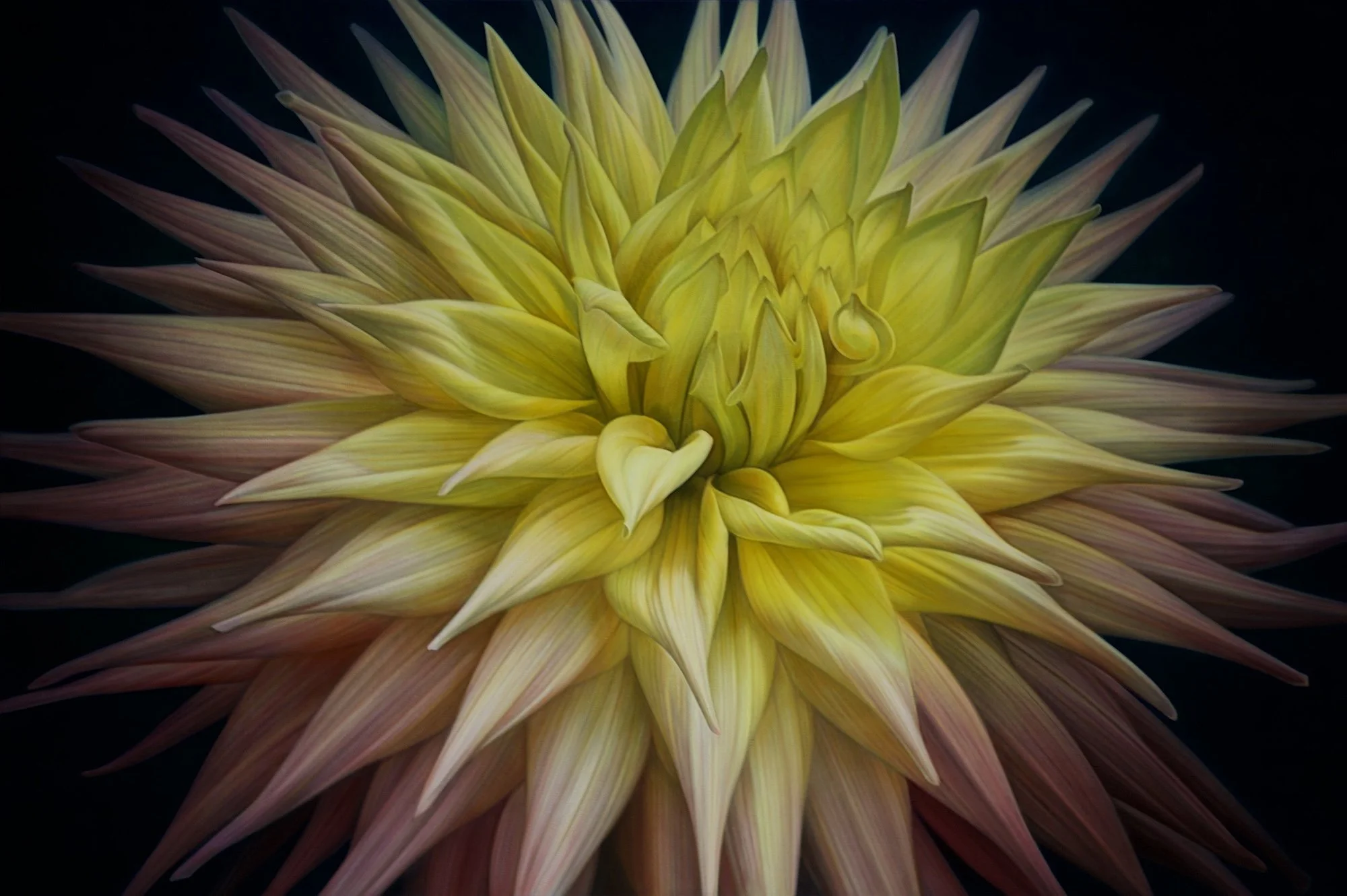 Dahlia Series #22