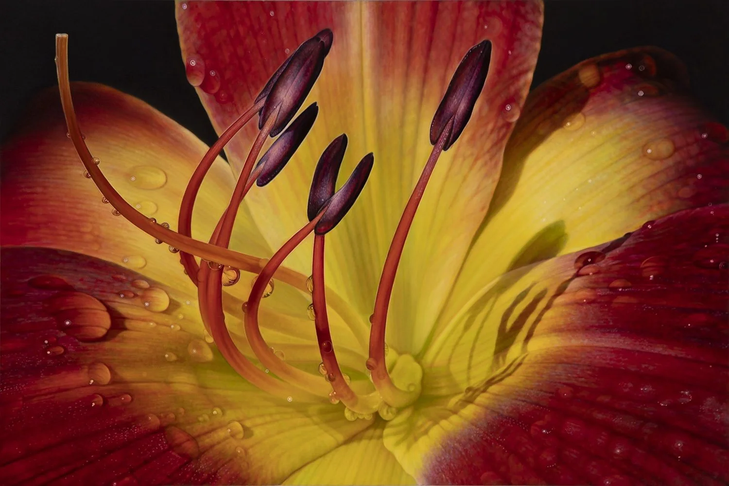Daylilly Series #15