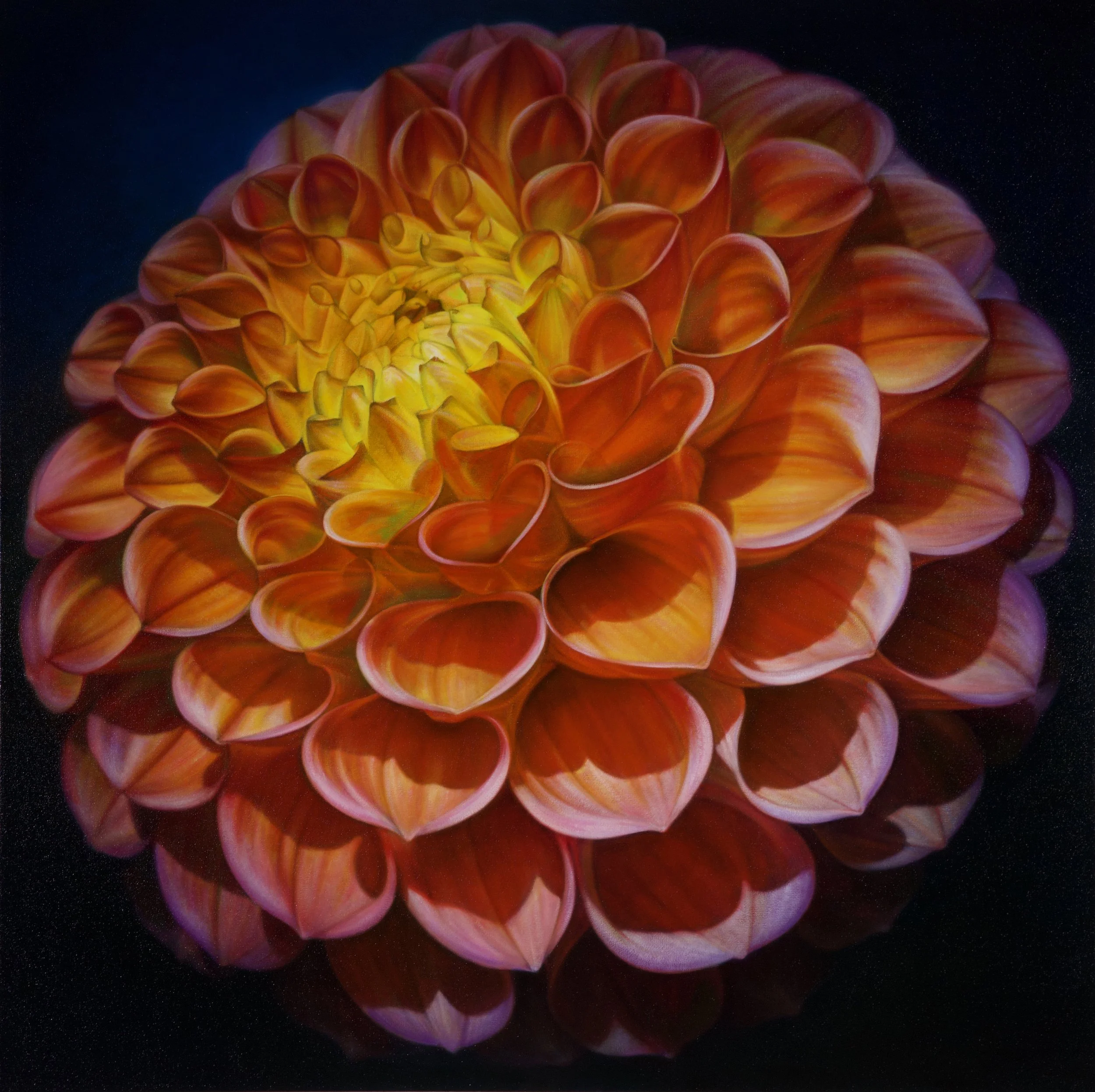 Dahlia Series #23
