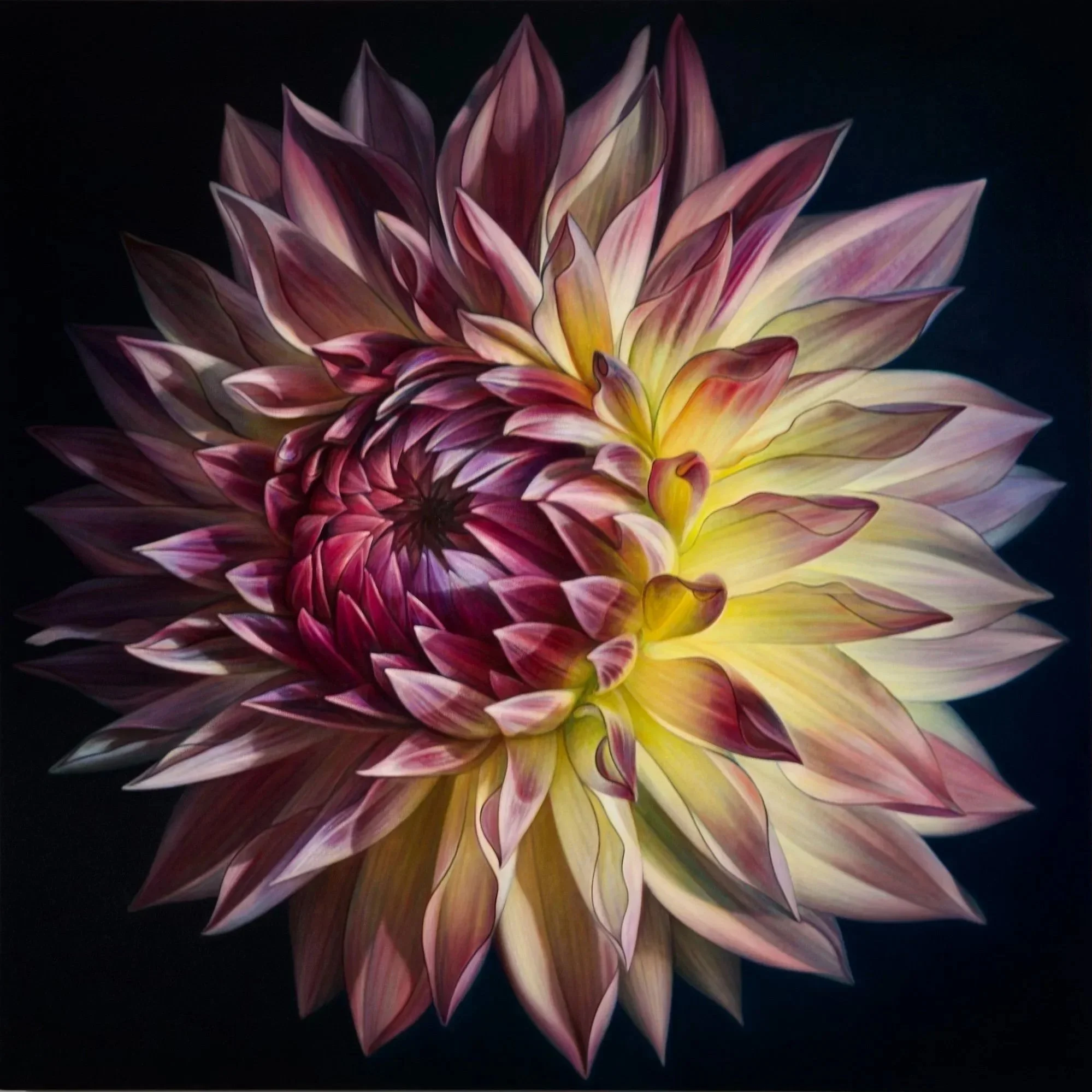 Dahlia Series #20