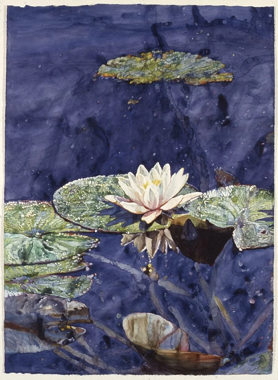 Lily, Shadow & Reflection, 1994