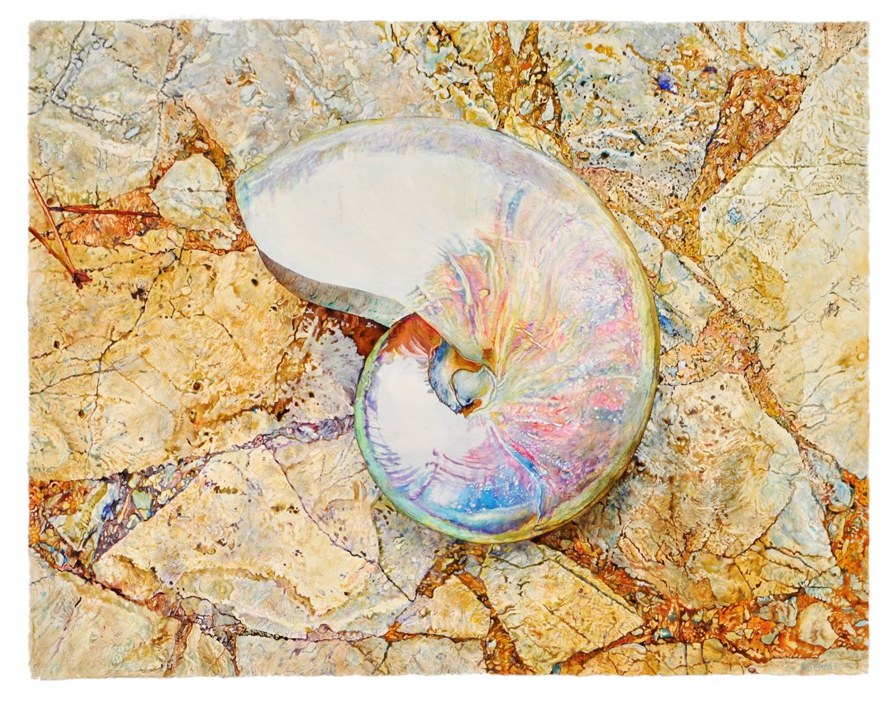 Wayfarer, 2011