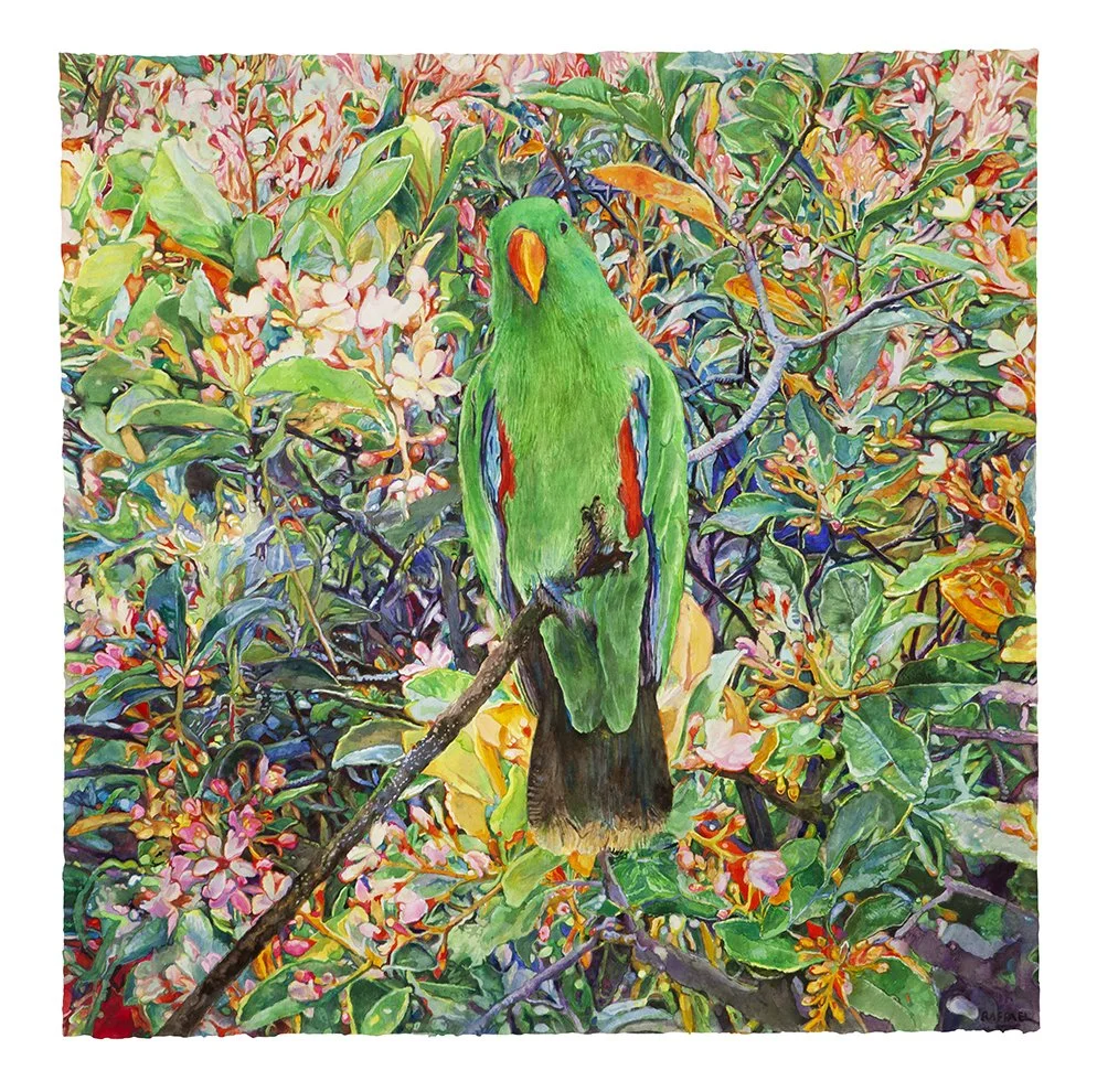 Parrot Moving Towards the Light, 2020