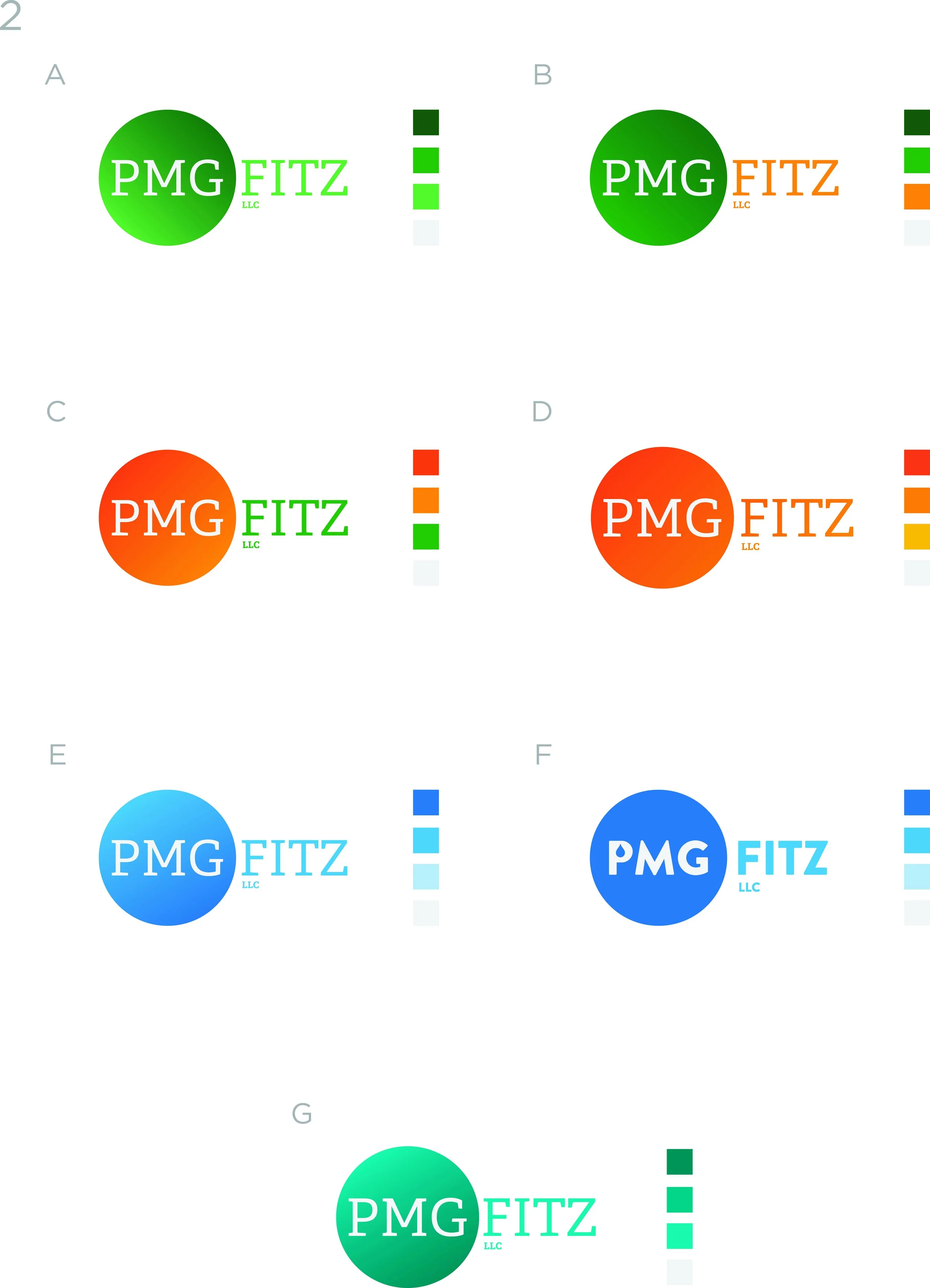 PMG-Fitz_Logo-Options_Rd2_Web-2.jpg