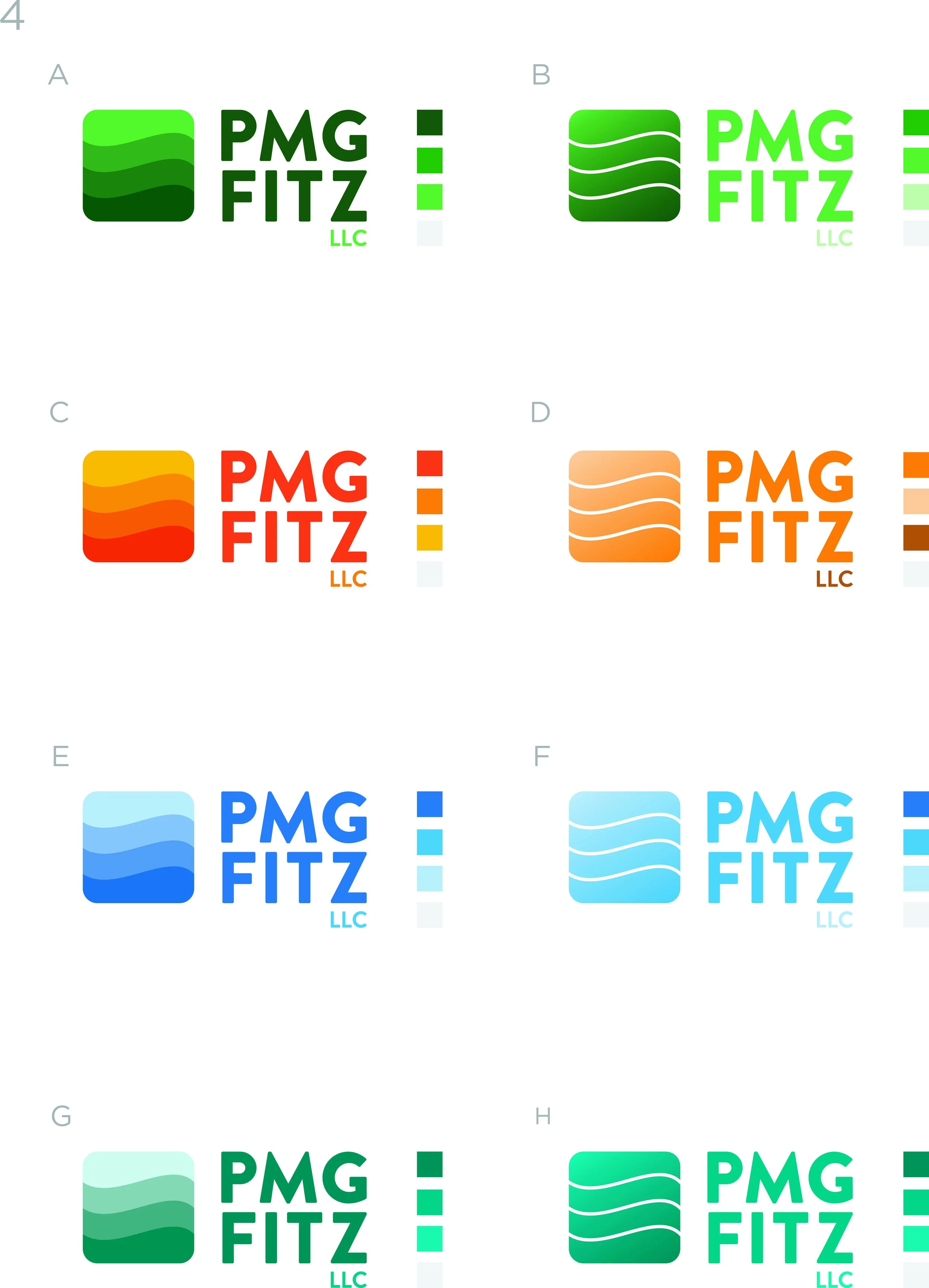 PMG-Fitz_Logo-Options_Rd2_Web-4.jpg