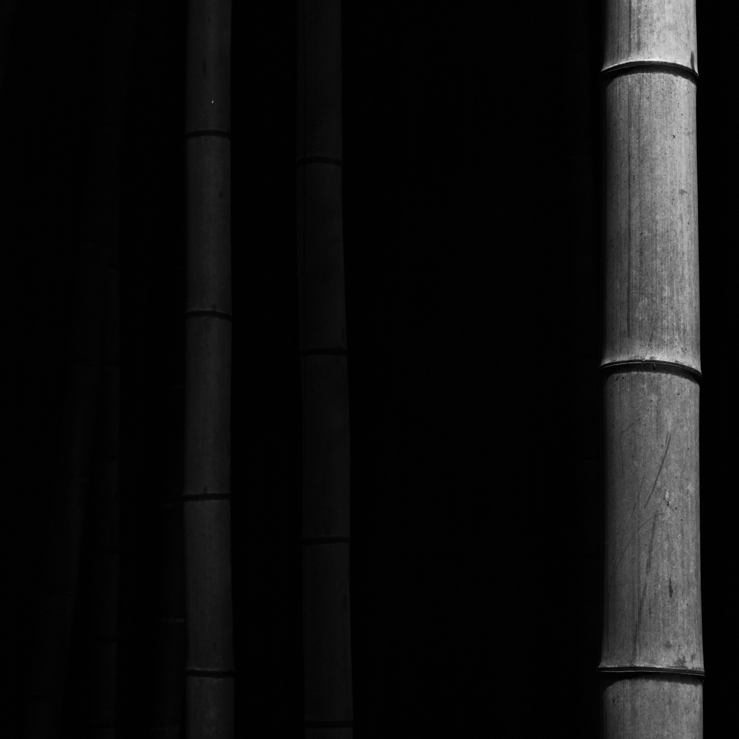 Bamboo_version-02.jpg