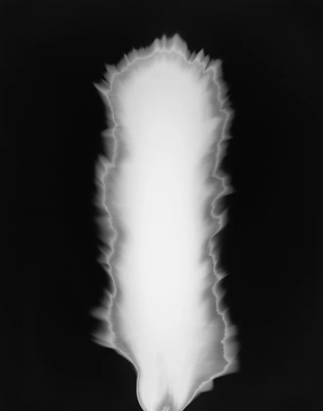 Fig. 1. In Praise of Shadow 980726 (1998)