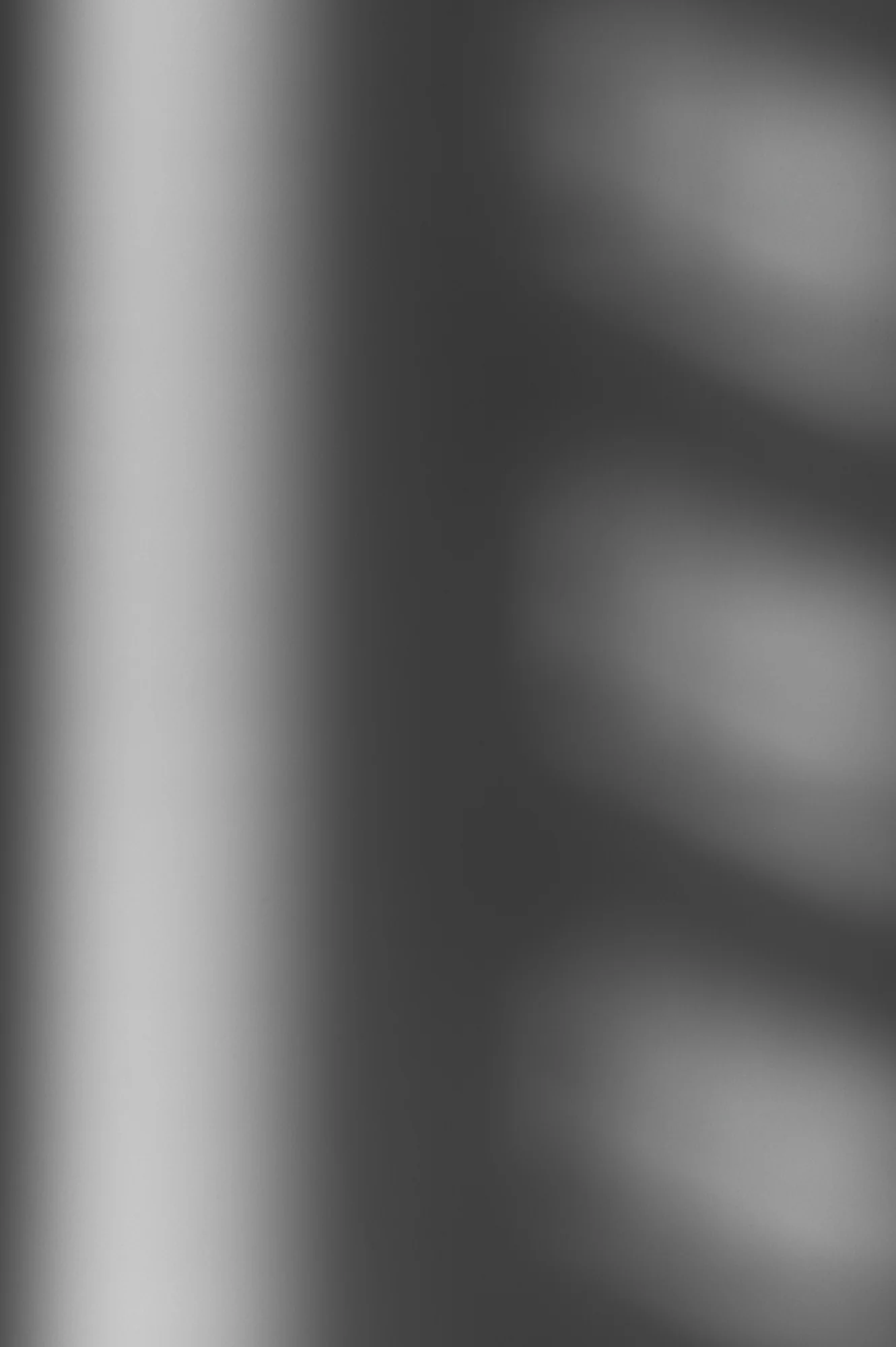 L1009416.jpg