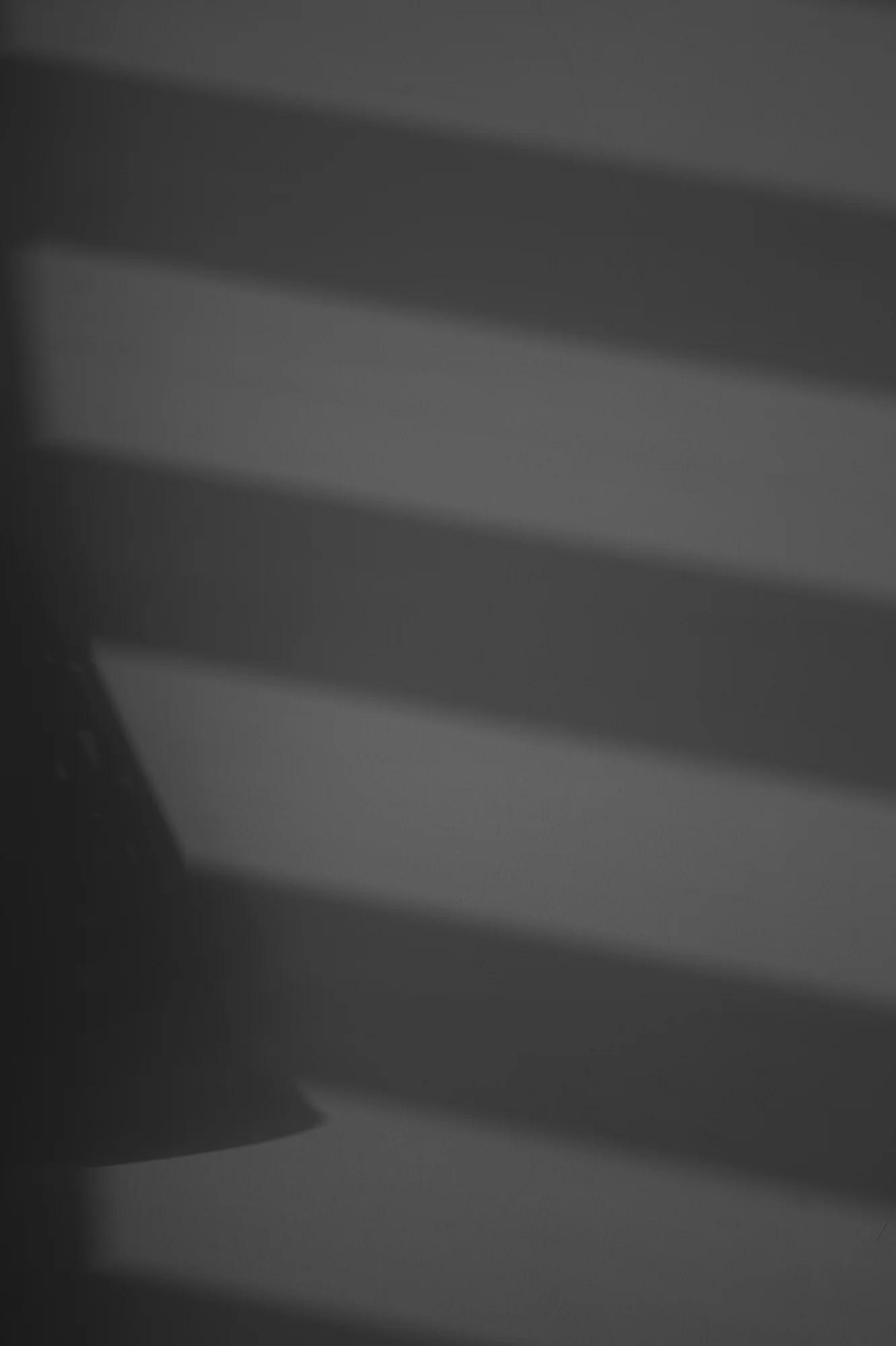 L1009452.jpg