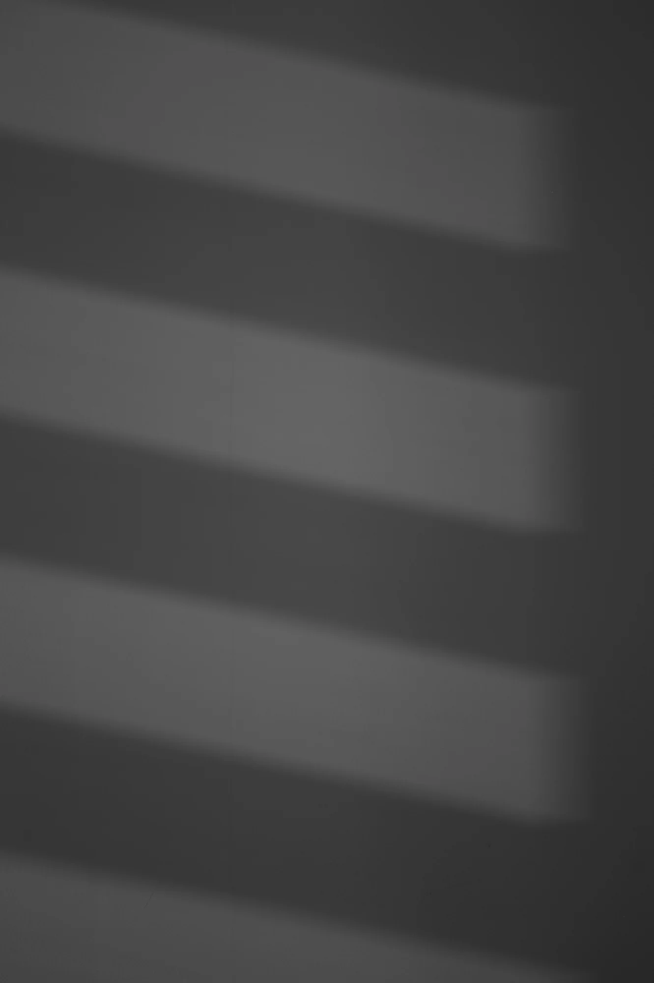 L1009453.jpg