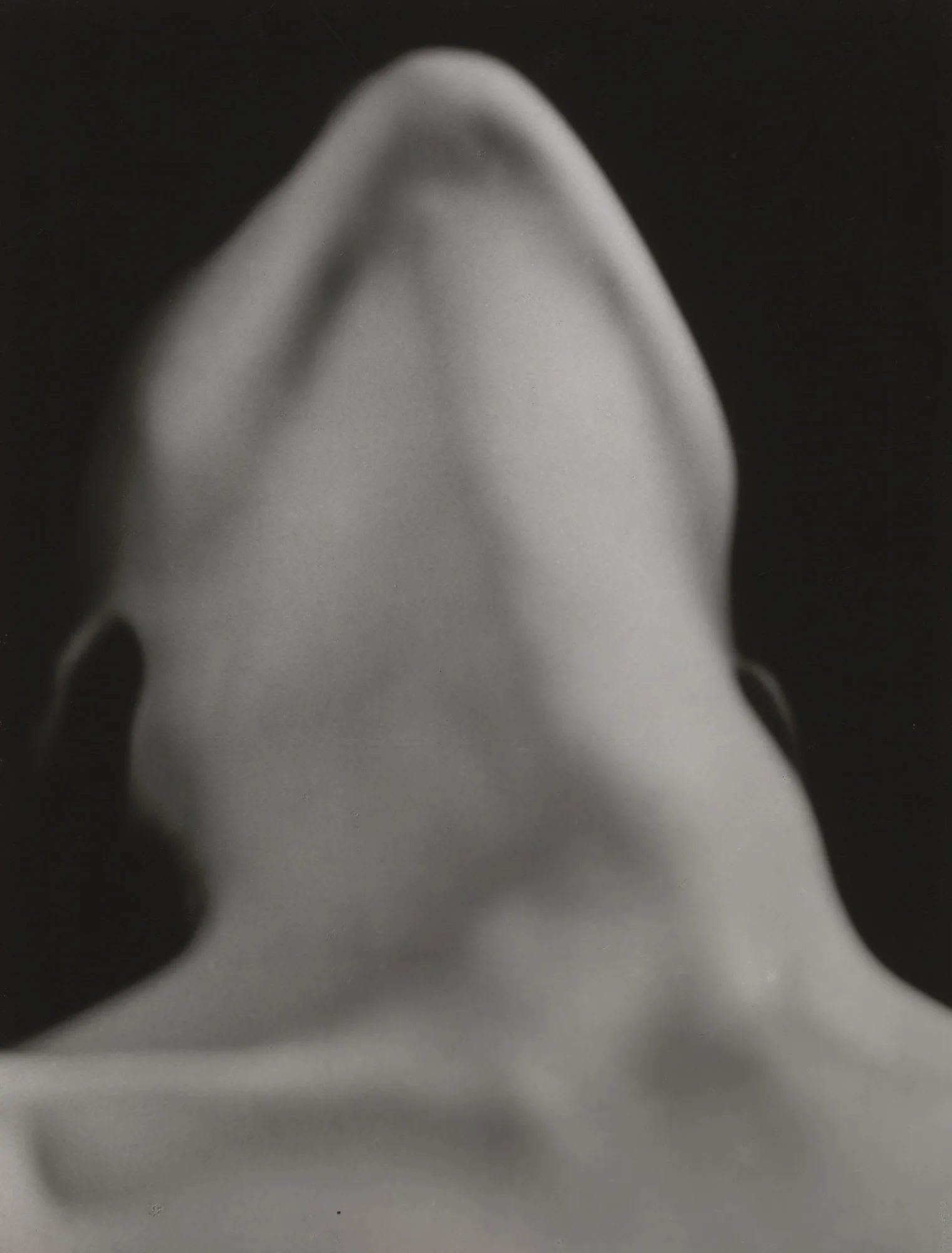 Fig. 5. Anatomies (1929)