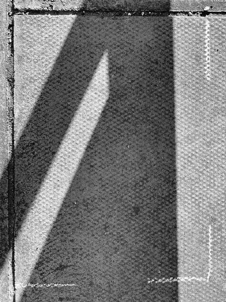 Shadowgram capture