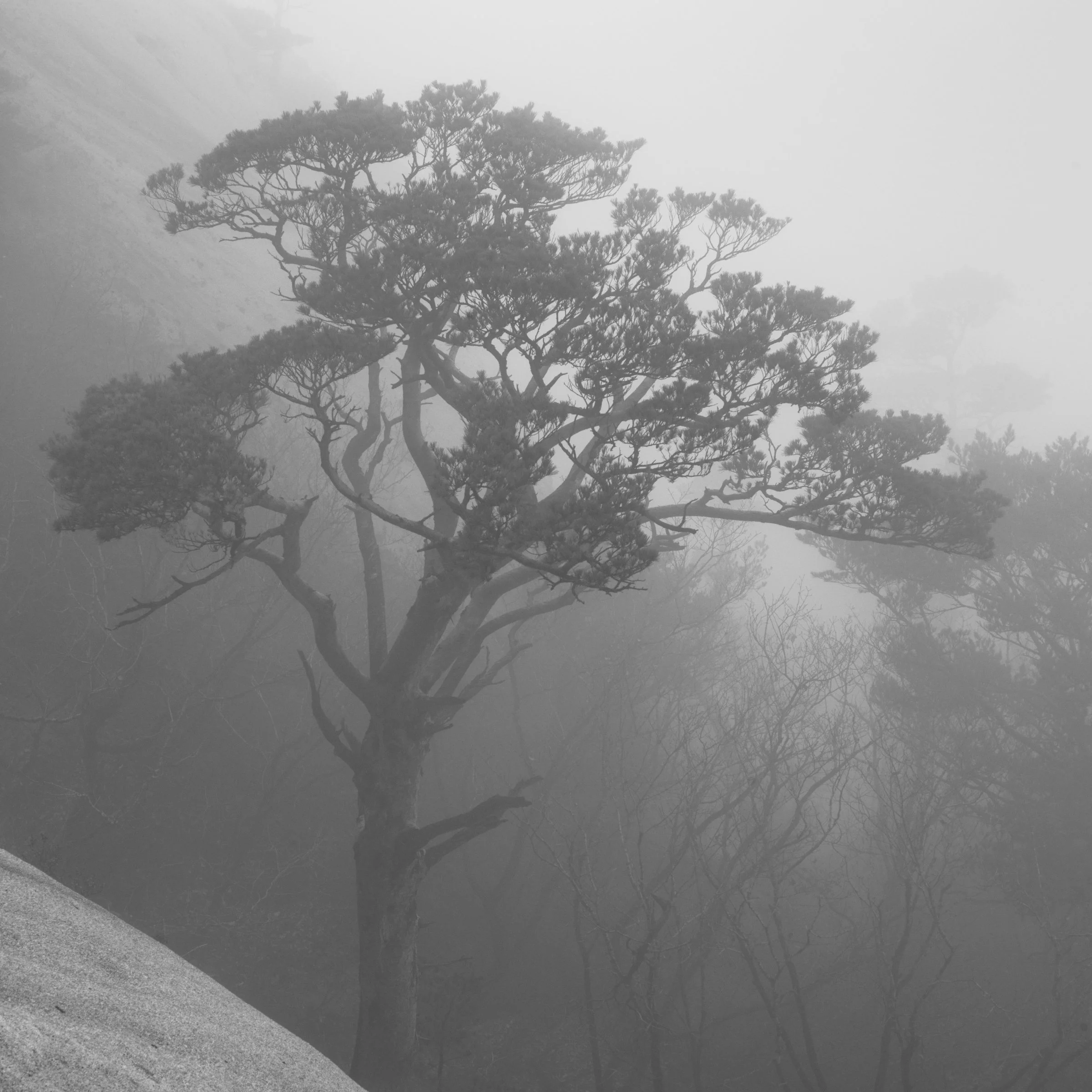 The Long Read 1/3: Globalisation and Korean Photography