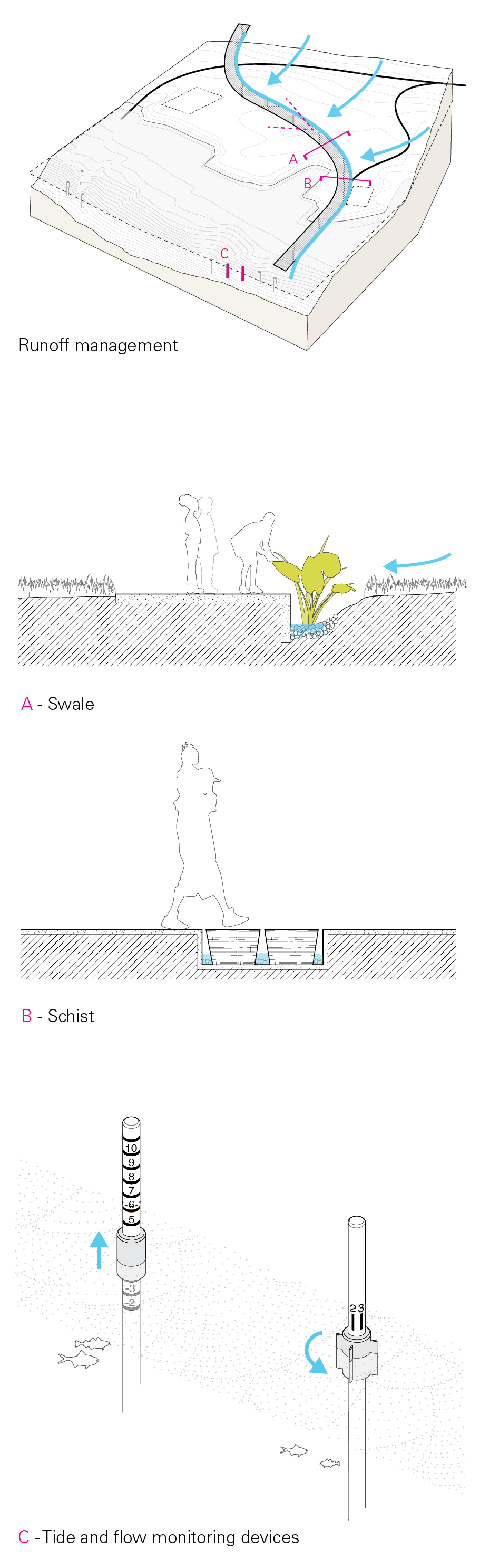 ecology diagrams.jpg
