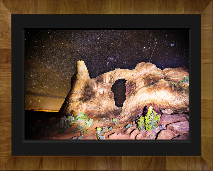 TERRESTRIAL LIMITED EDITON: 700 ARTIST PROOF: 50