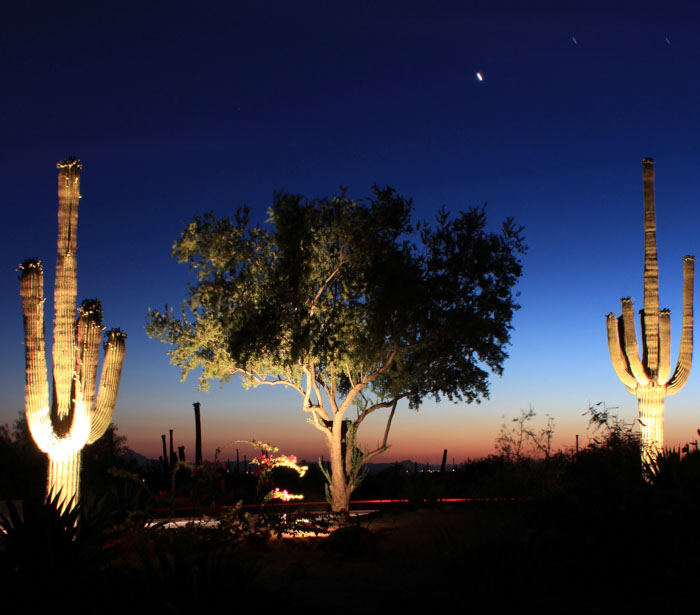 IMG_1627a DESERT ELEMENTAL 1.jpg