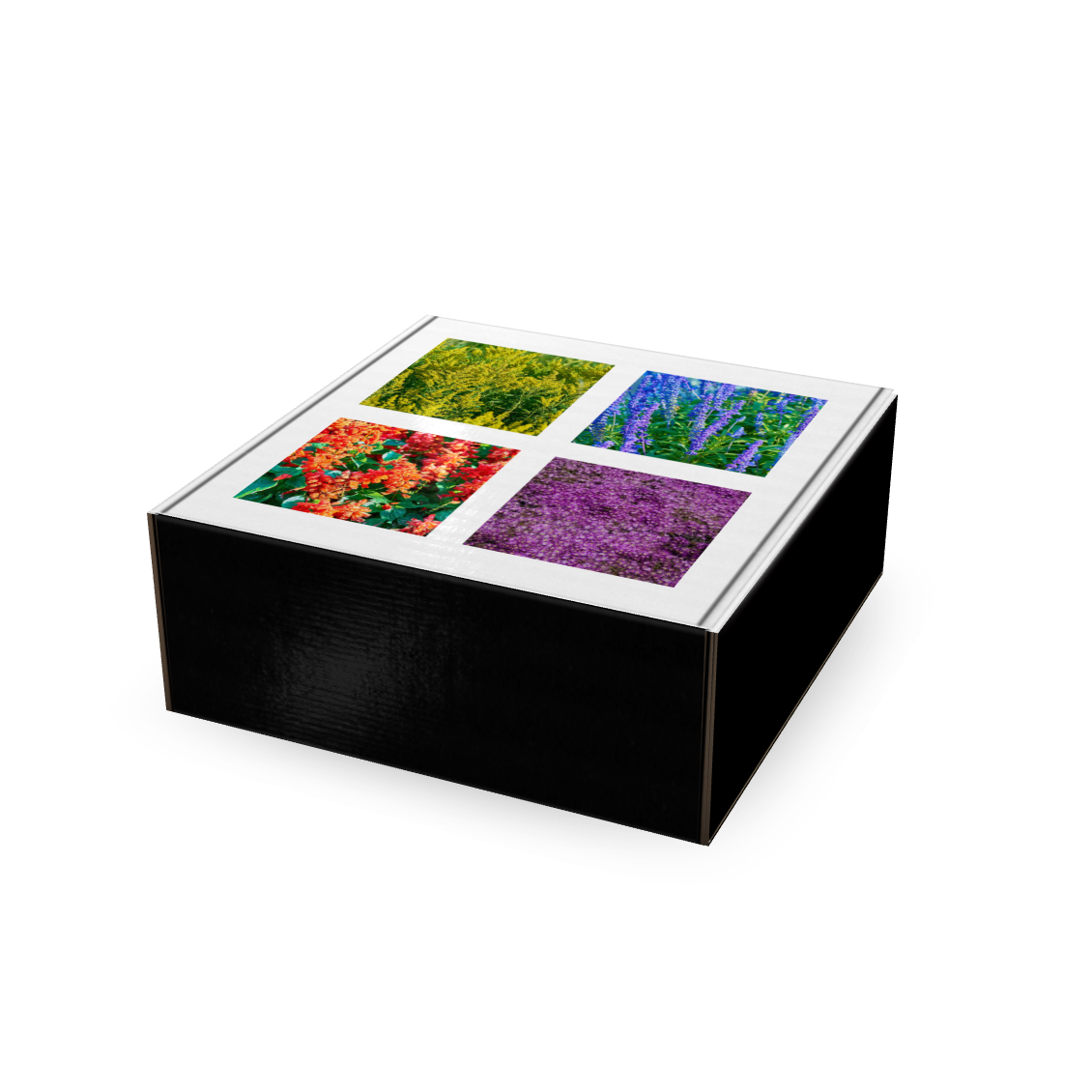 FLORAPACK2BOX.png