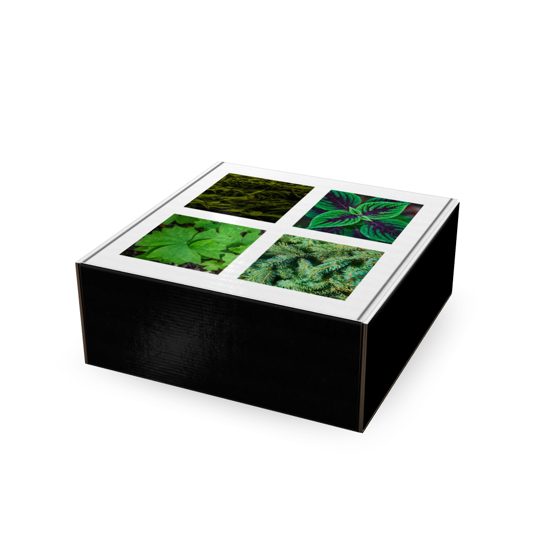 greenpackbox.png