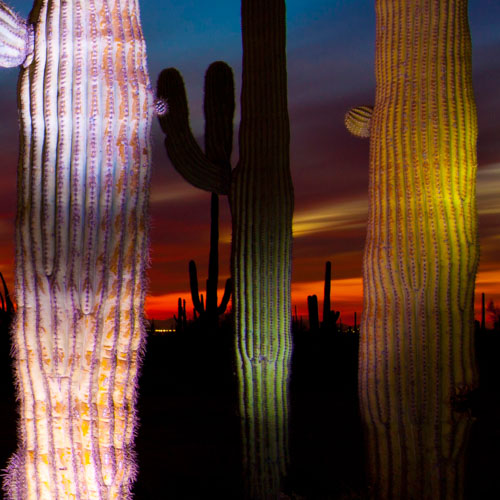 IMG_0082 DESERT ELEMENTAL 4.jpg