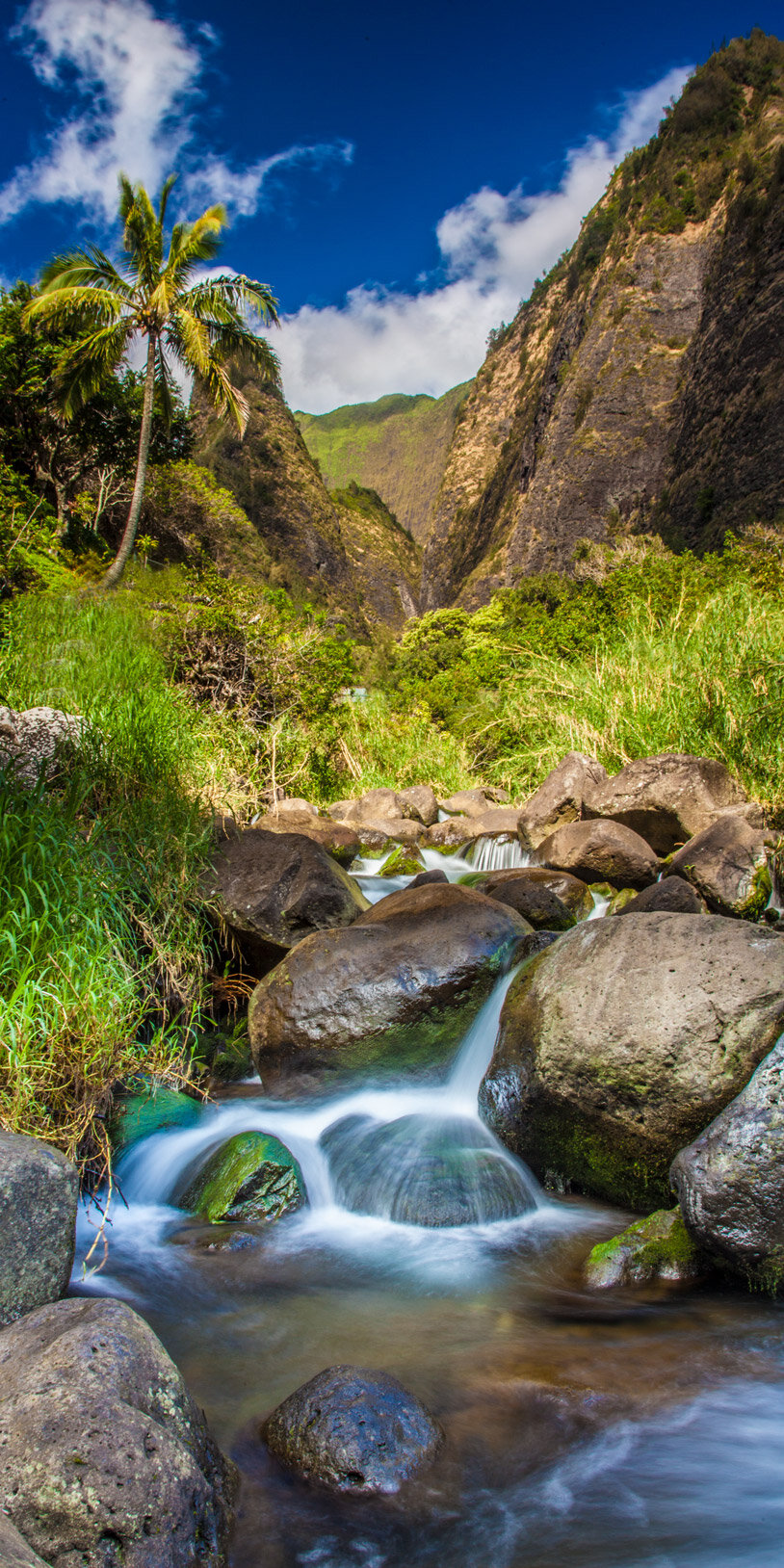 Iao Valley