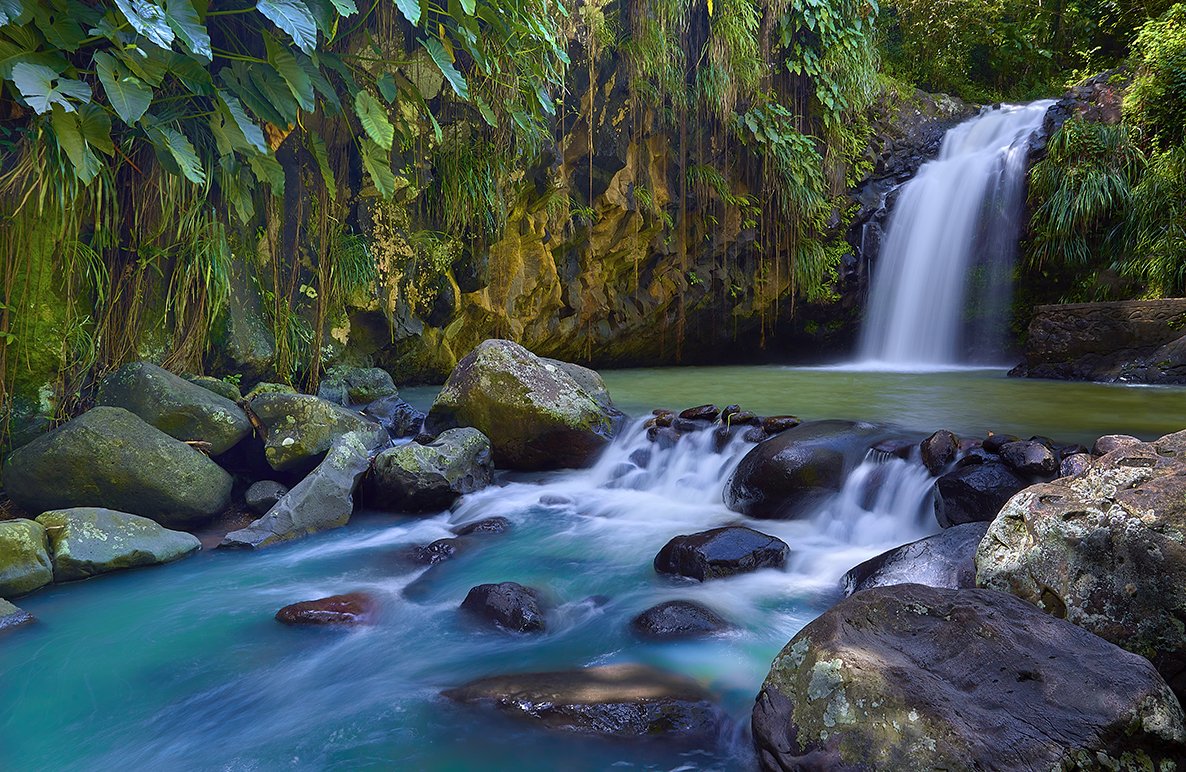 Hidden Oasis