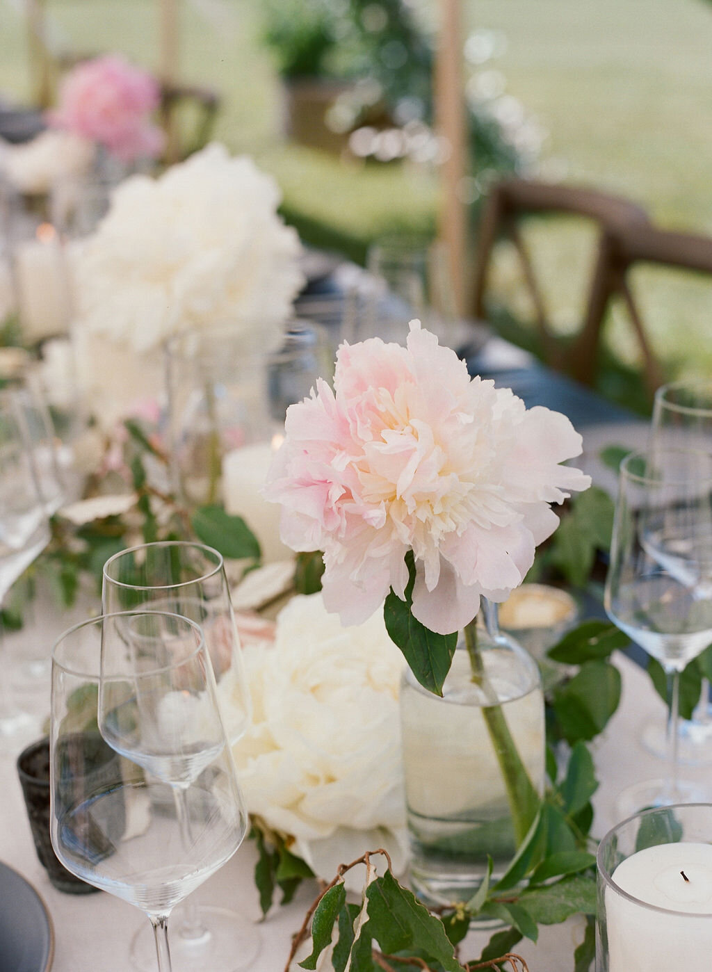 blush peonies.jpg