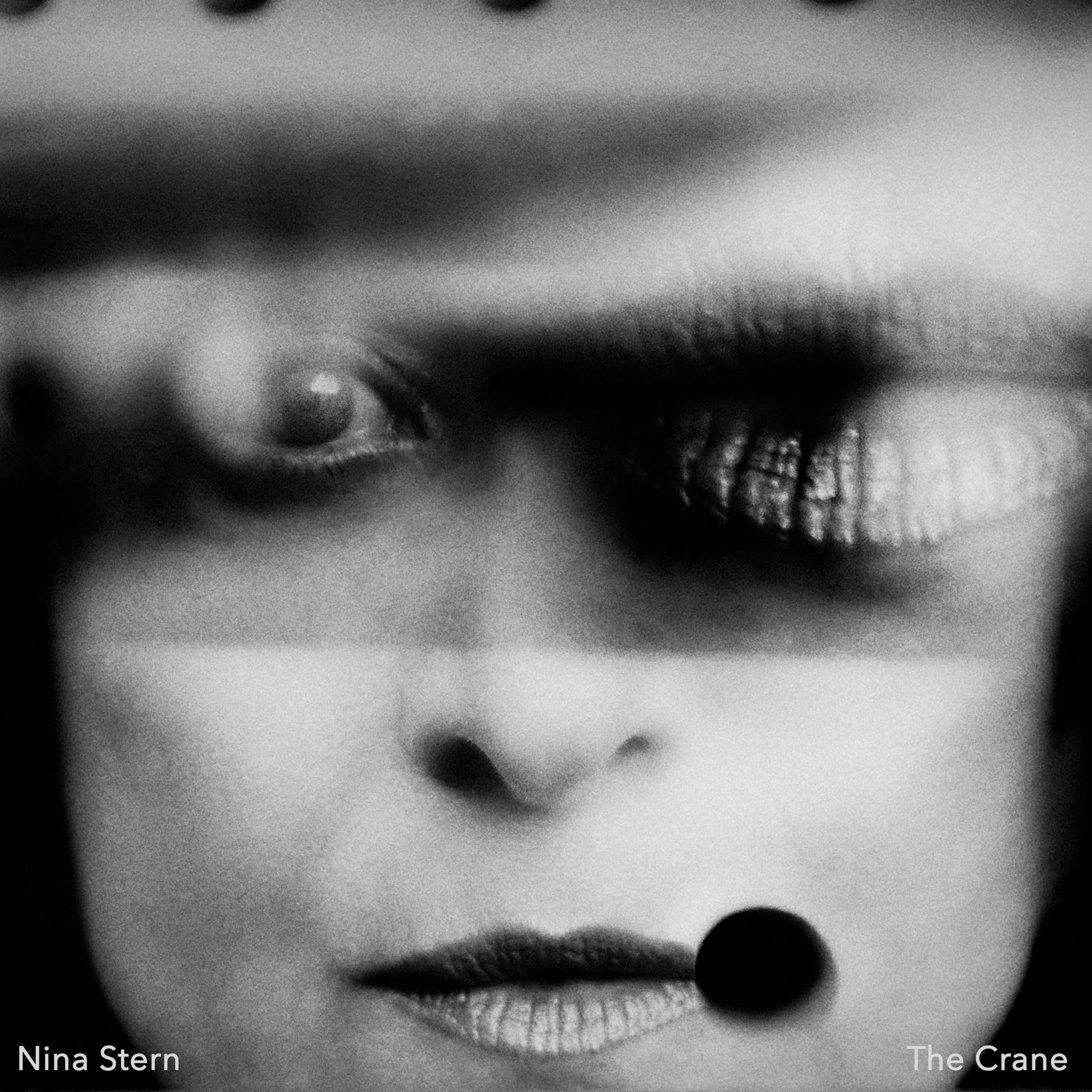 NINA_CRANE_COVER.DIGITAL.jpg