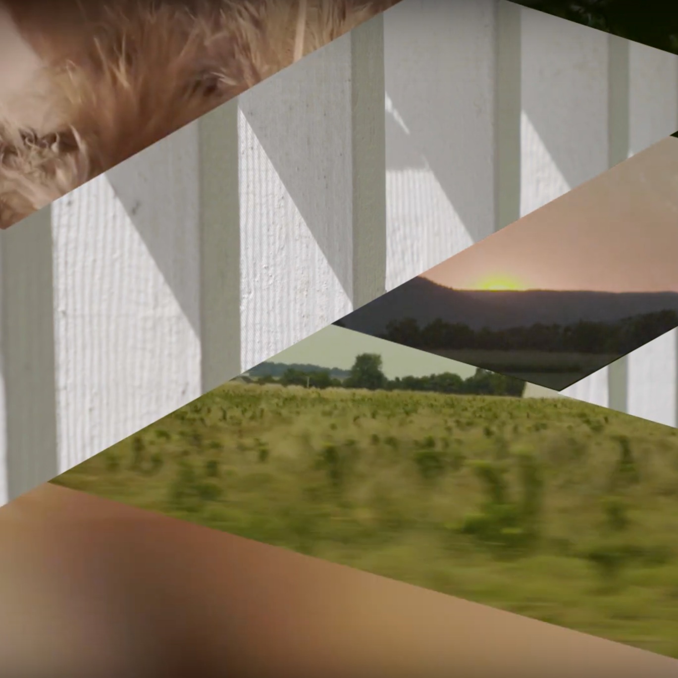 Official Music Video for 'Had It and Lost It' By Hans Bilger Now Out On VEVO