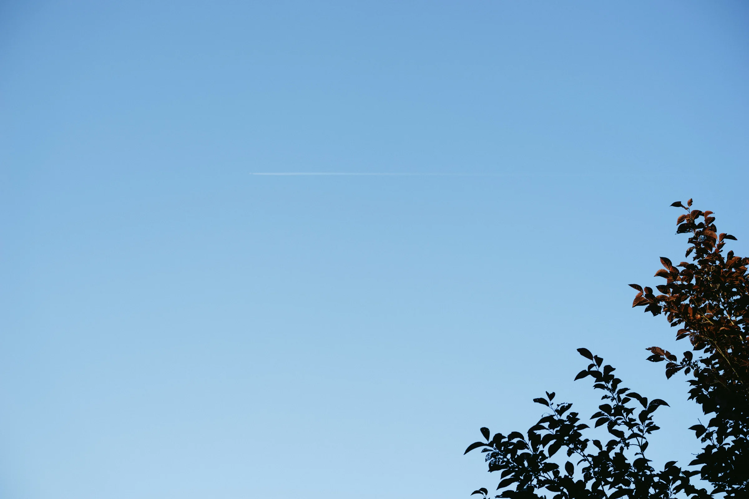 DSC05917.jpg