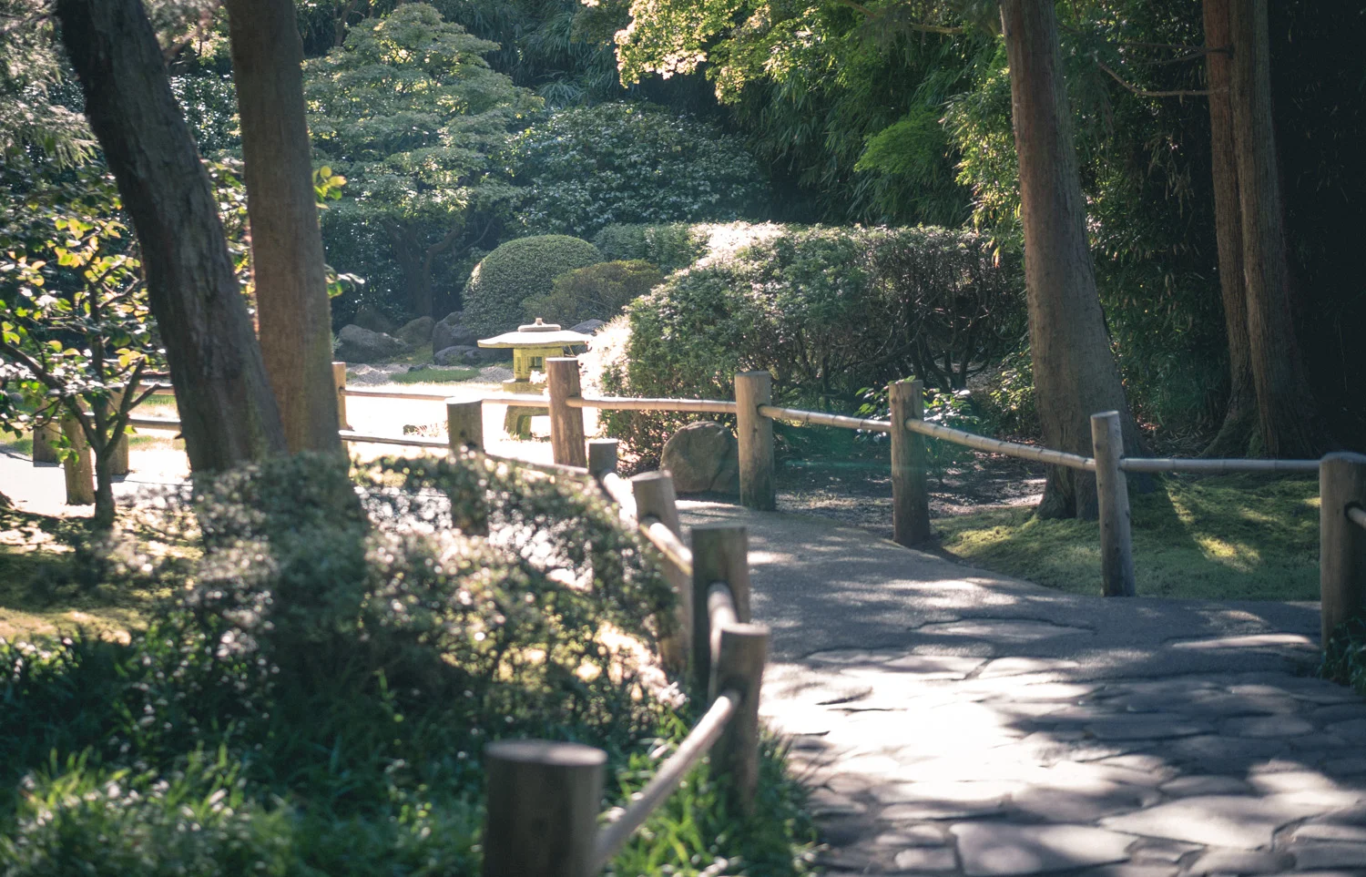 DSC03803.jpg