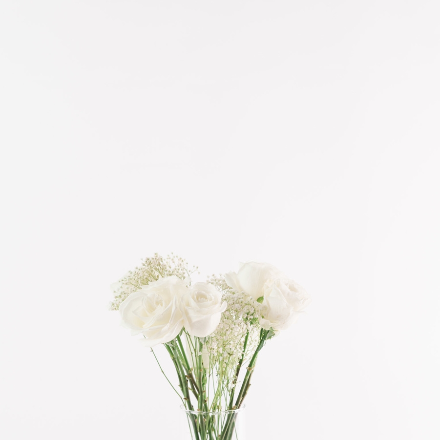 White Rose