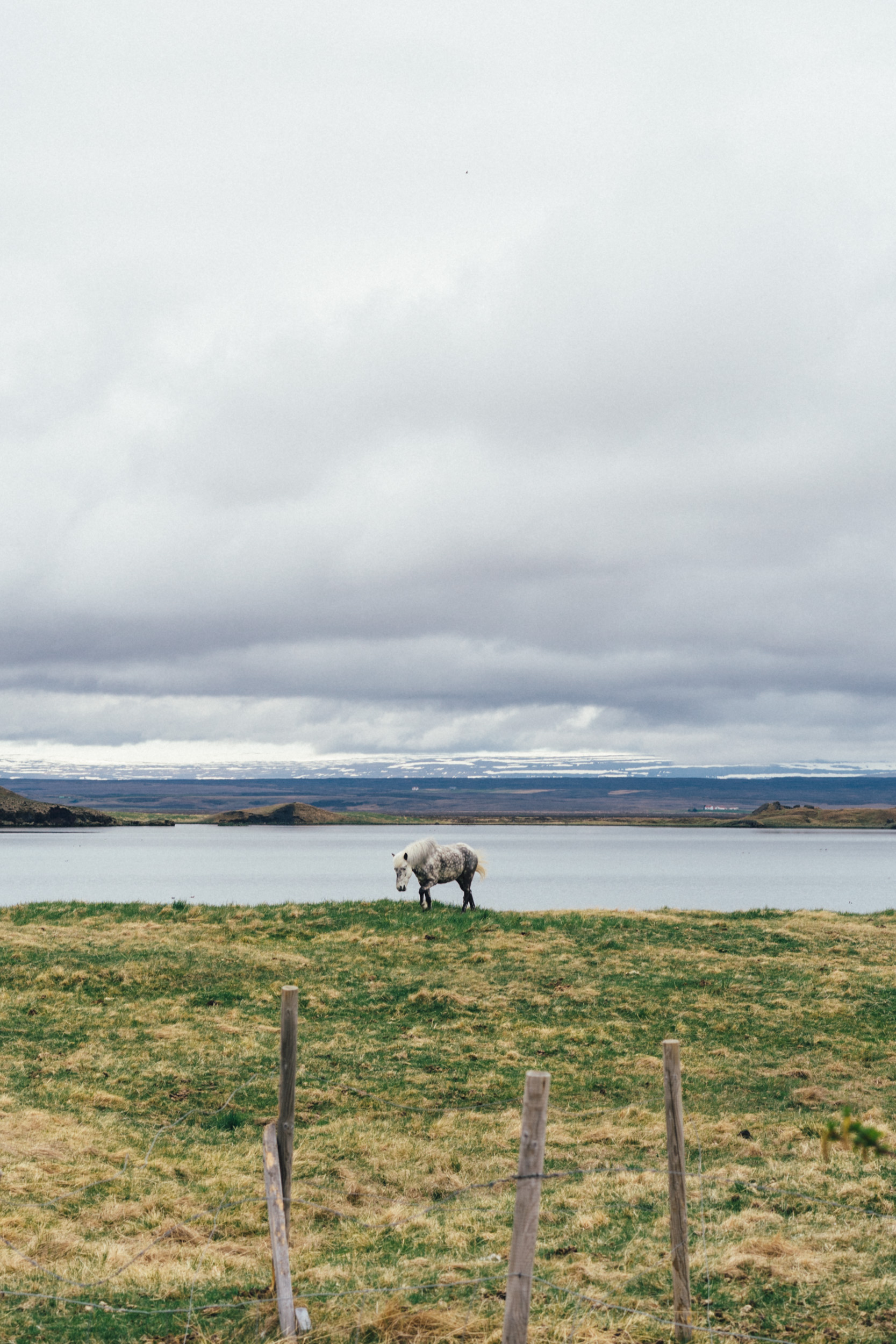 Mývatn