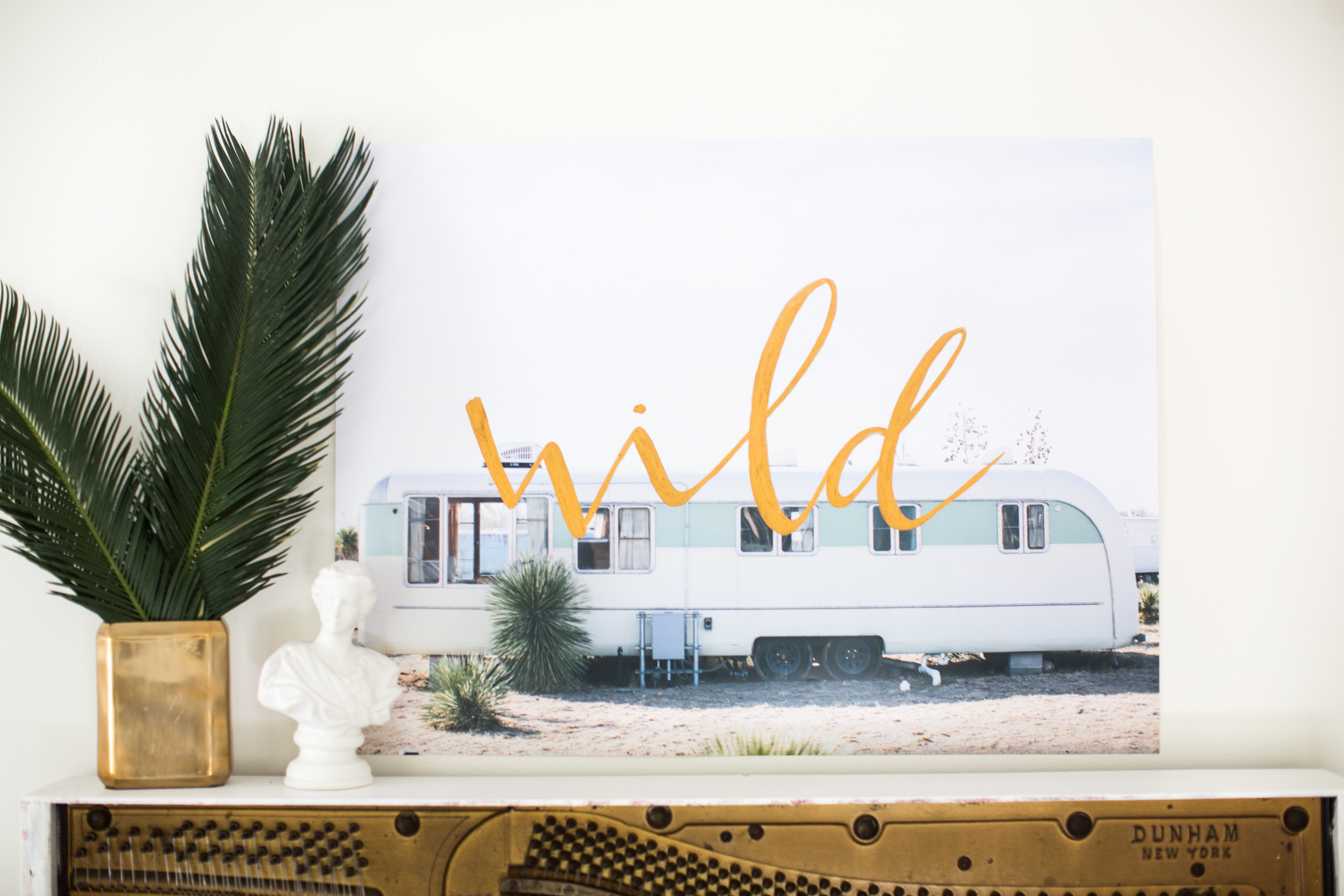 WILD-1.jpg
