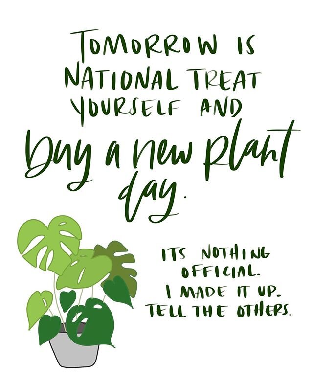 we&rsquo;ve made it through another week. we deserve a new plant.