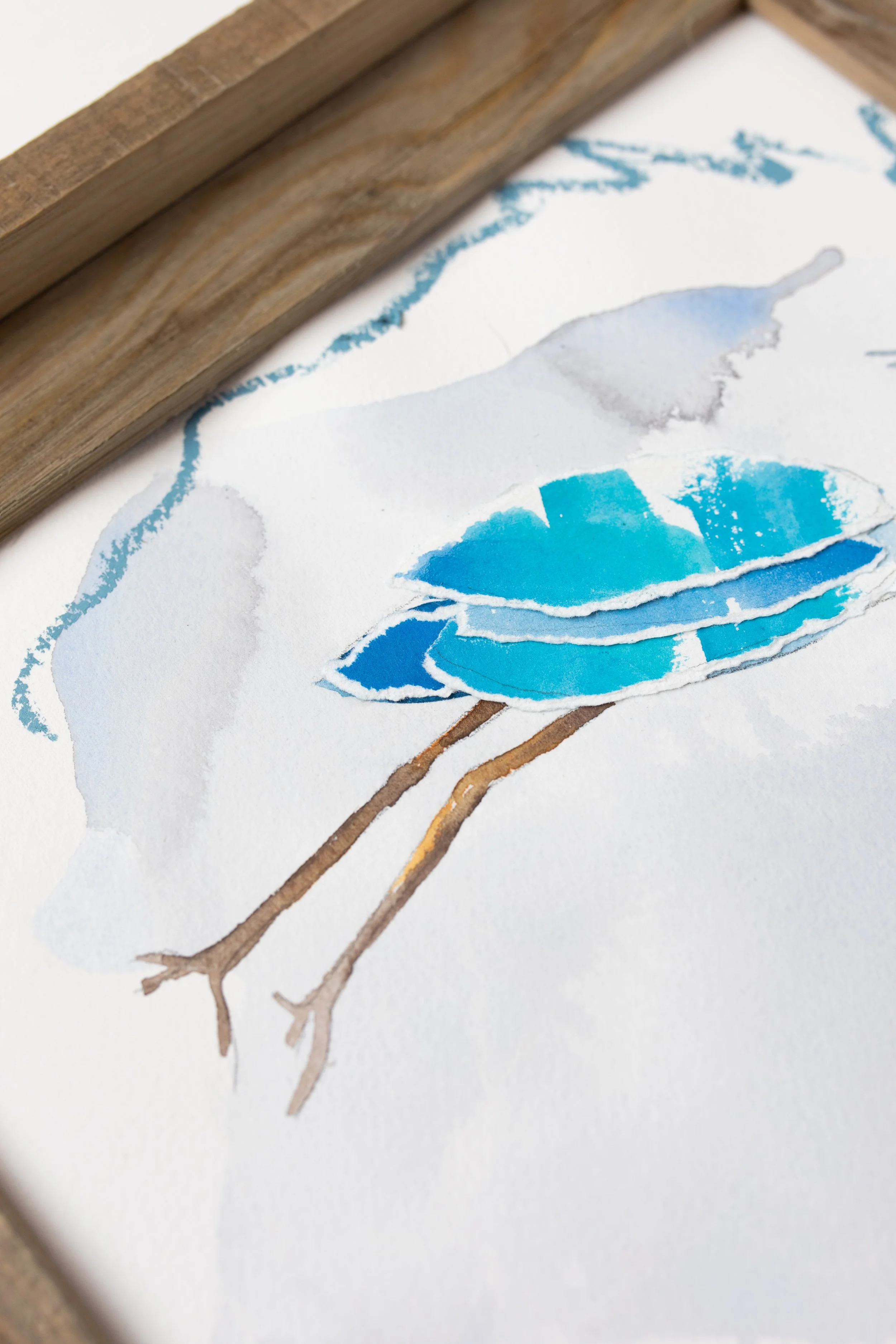birds-4.jpg