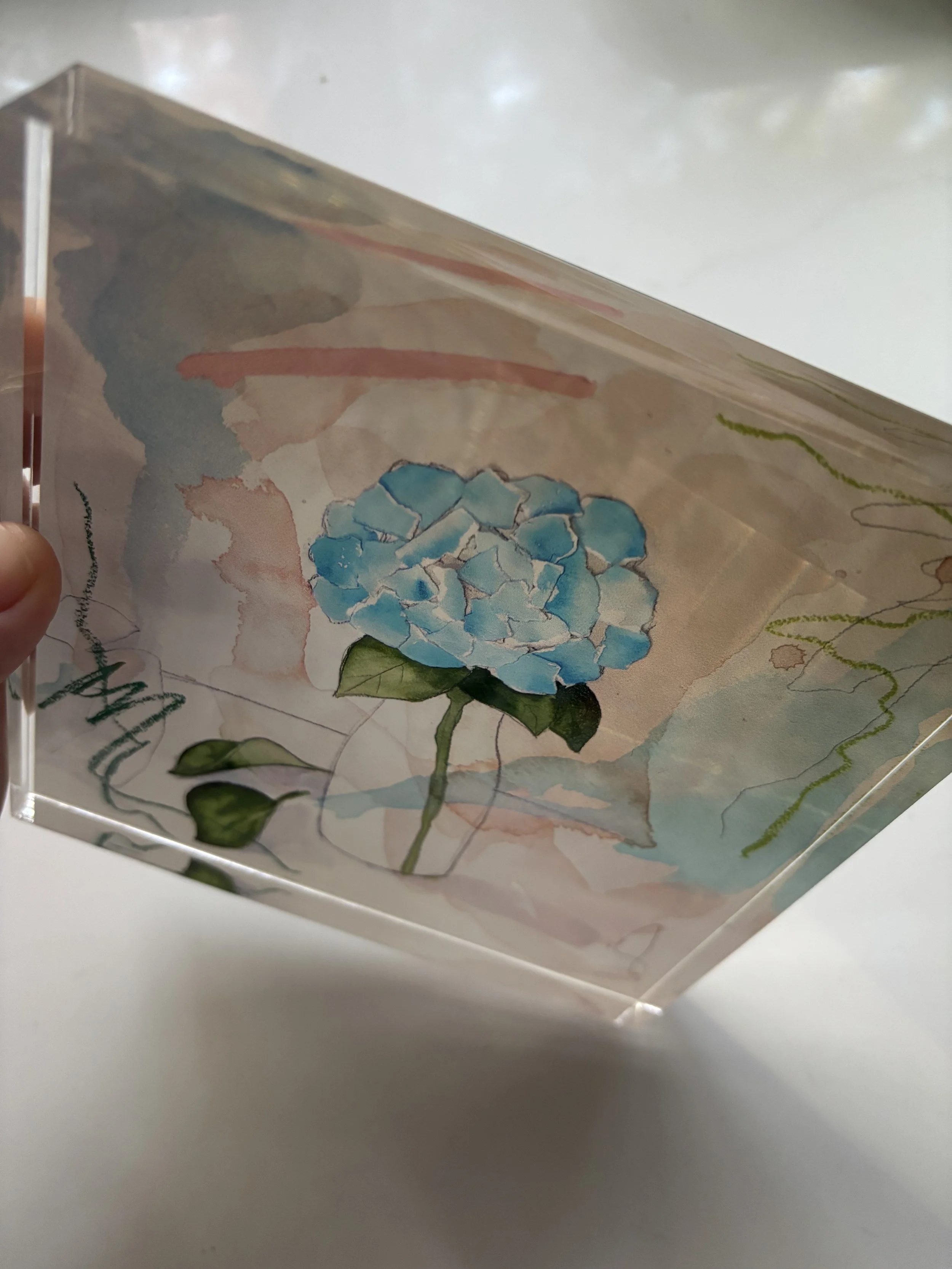 2025-11-18 16.33.12.jpg