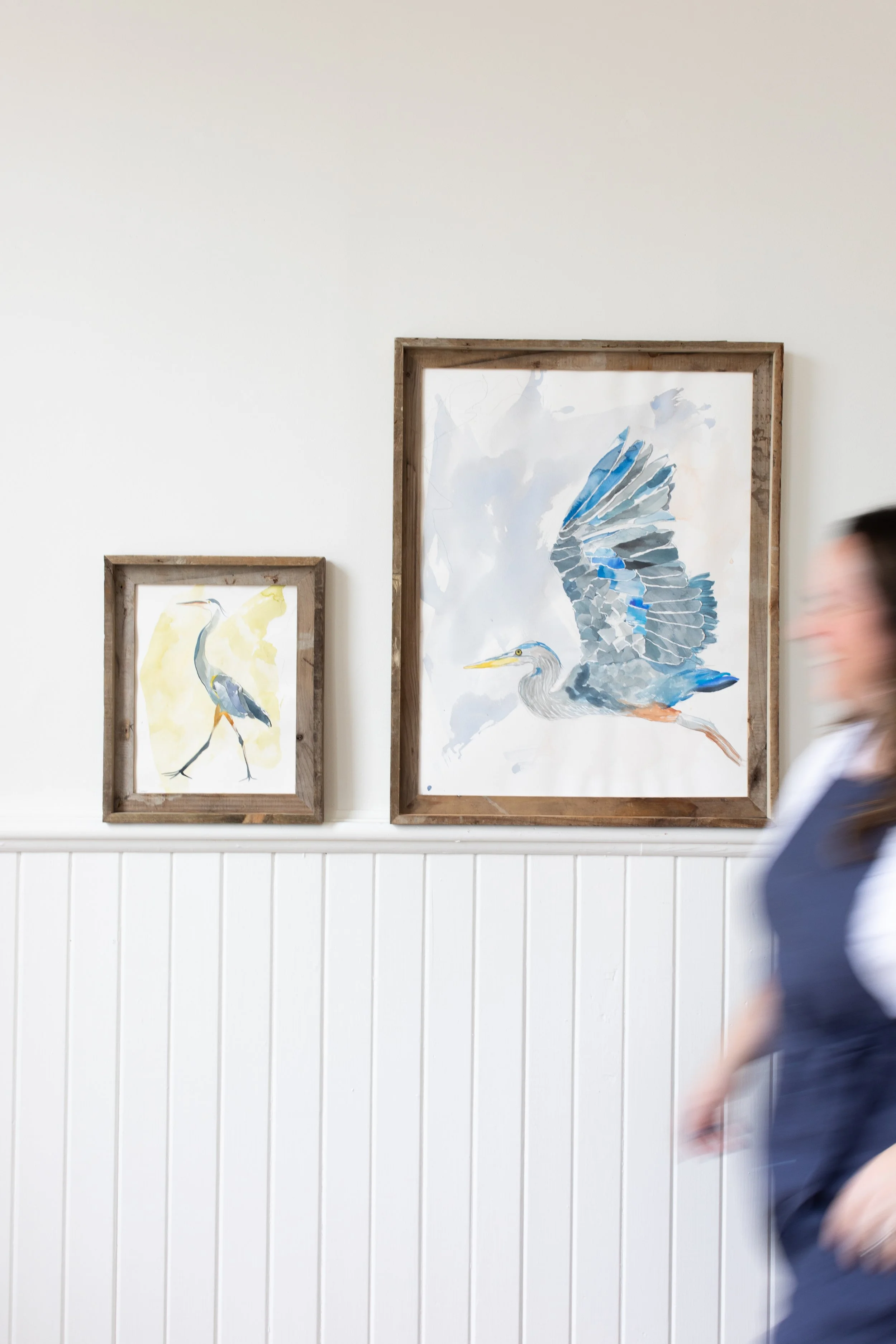 birds-61.jpg